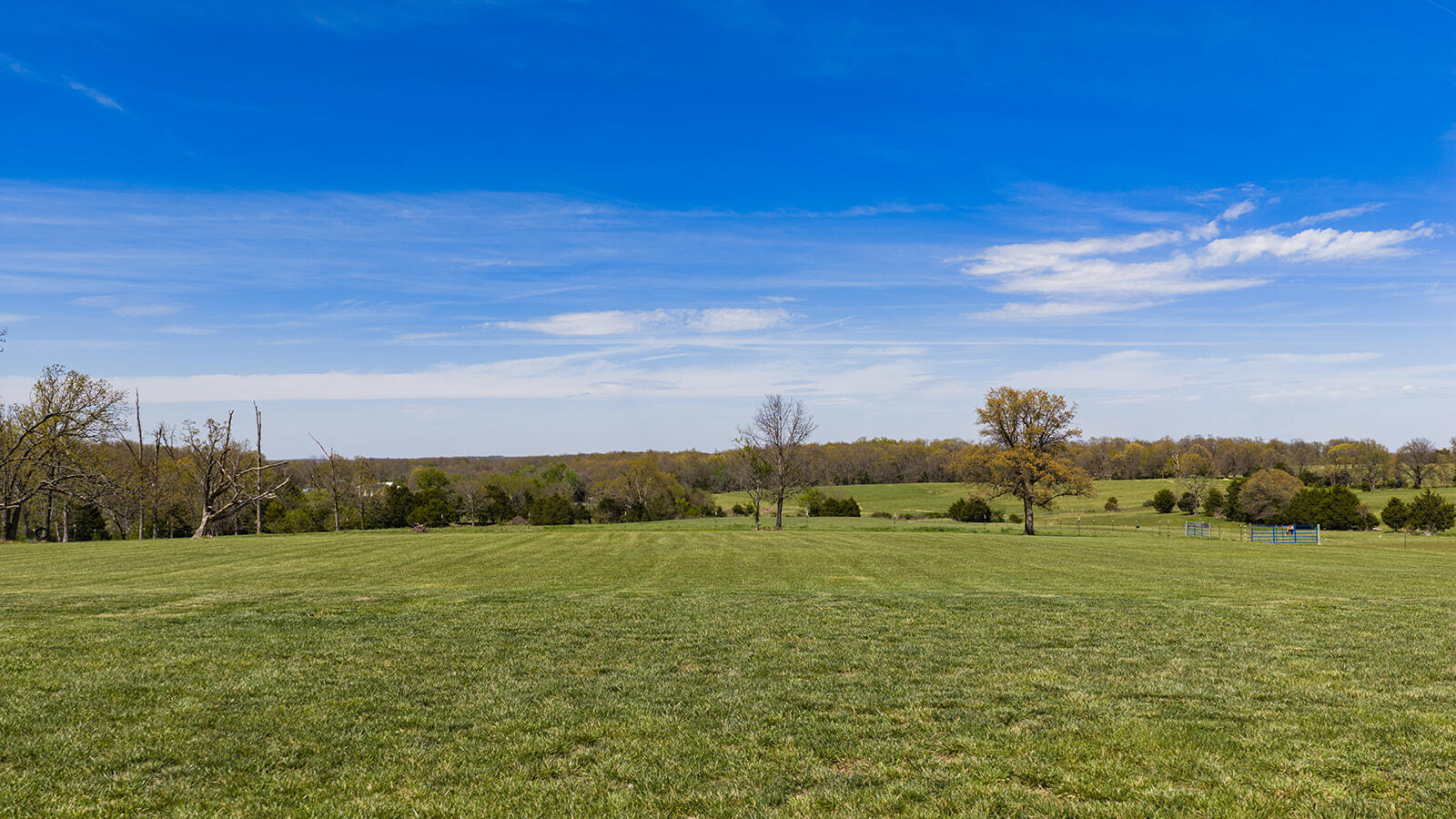 Photo 39 - Residential for sale – 13421 W Farm Road 194   Billings, MO