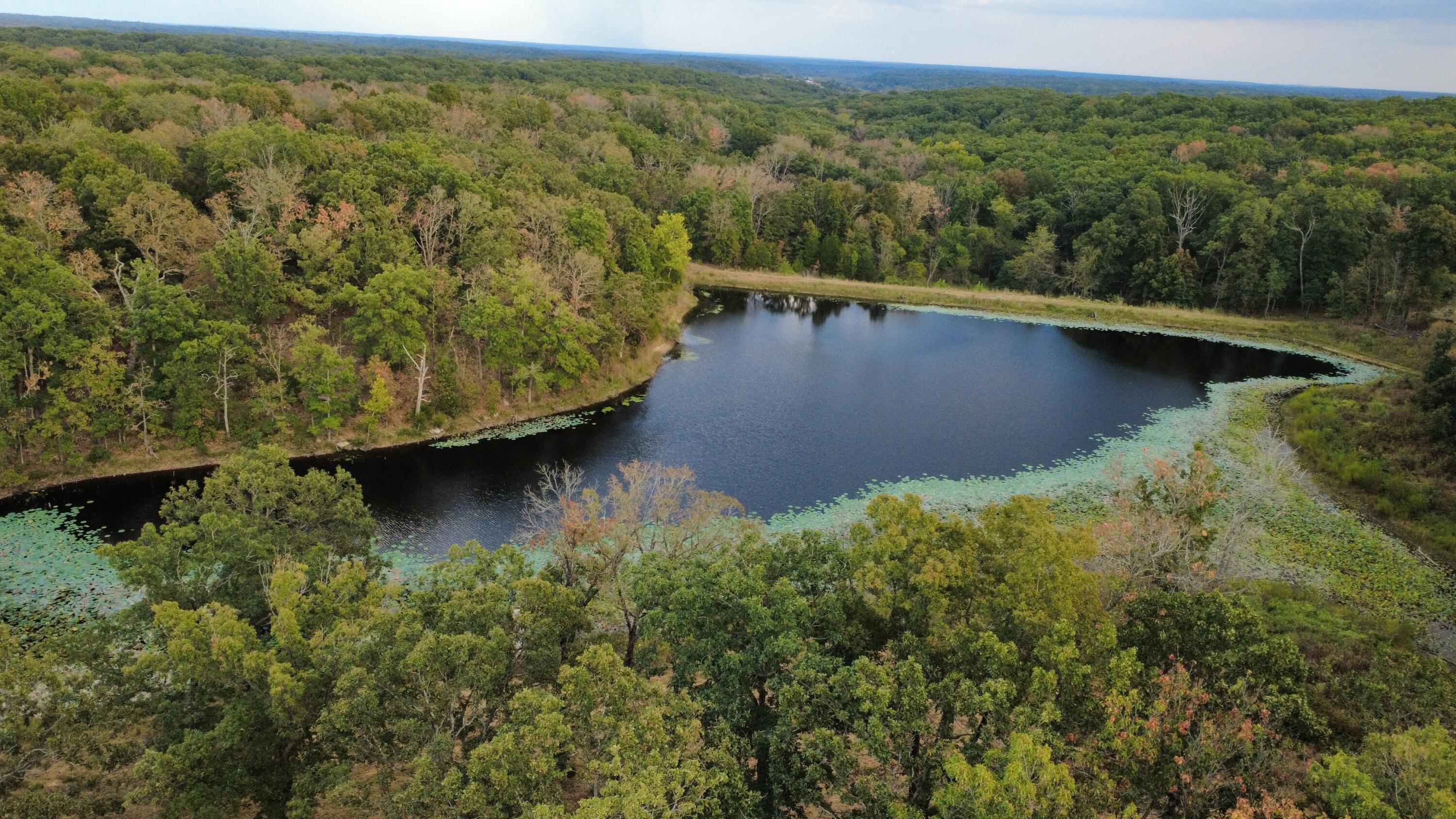 Land for sale – Tbd  County Road 427   Cross Timbers, MO