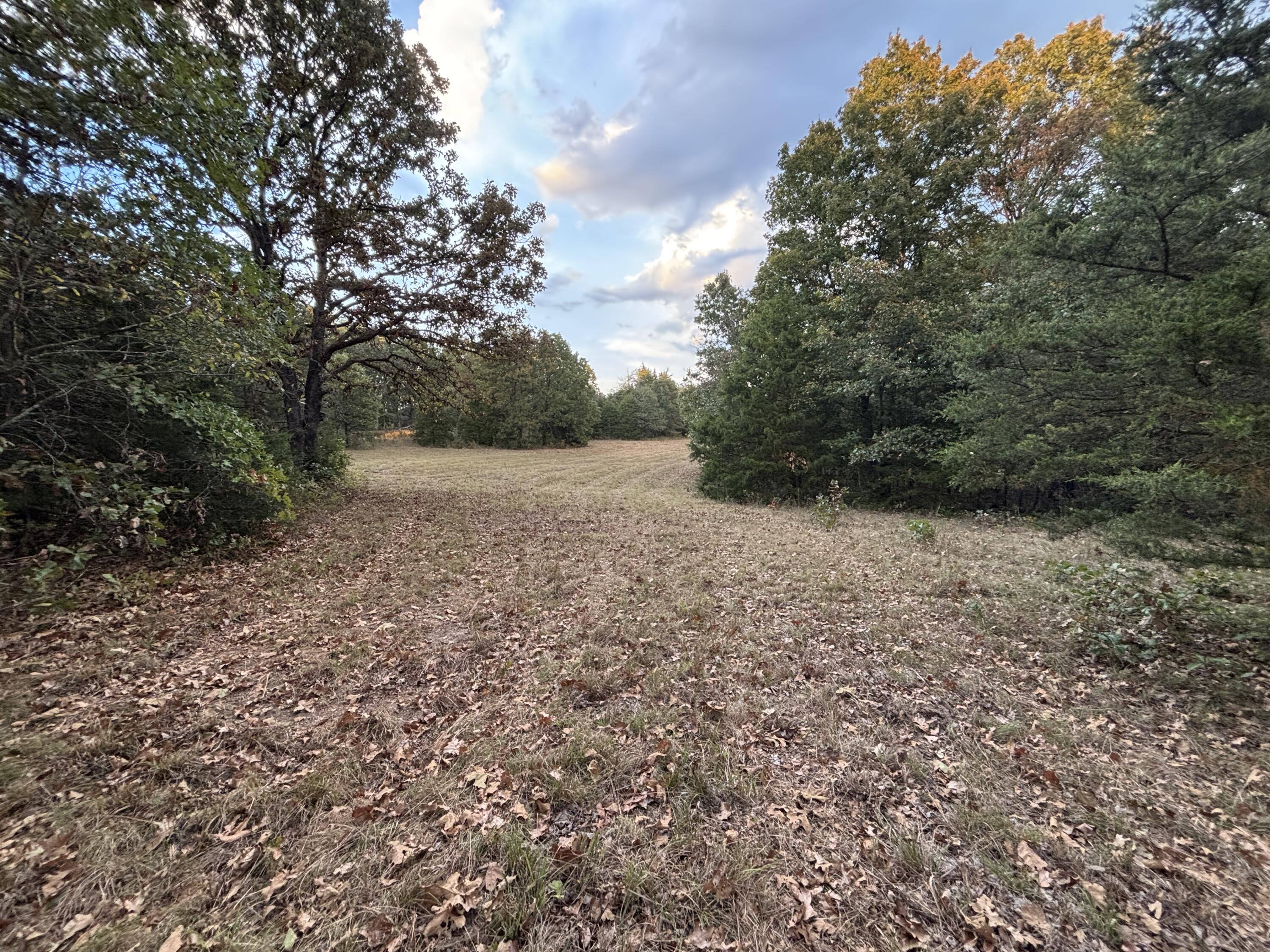 Photo 11 - Land for sale – Tbd  County Road 427   Cross Timbers, MO