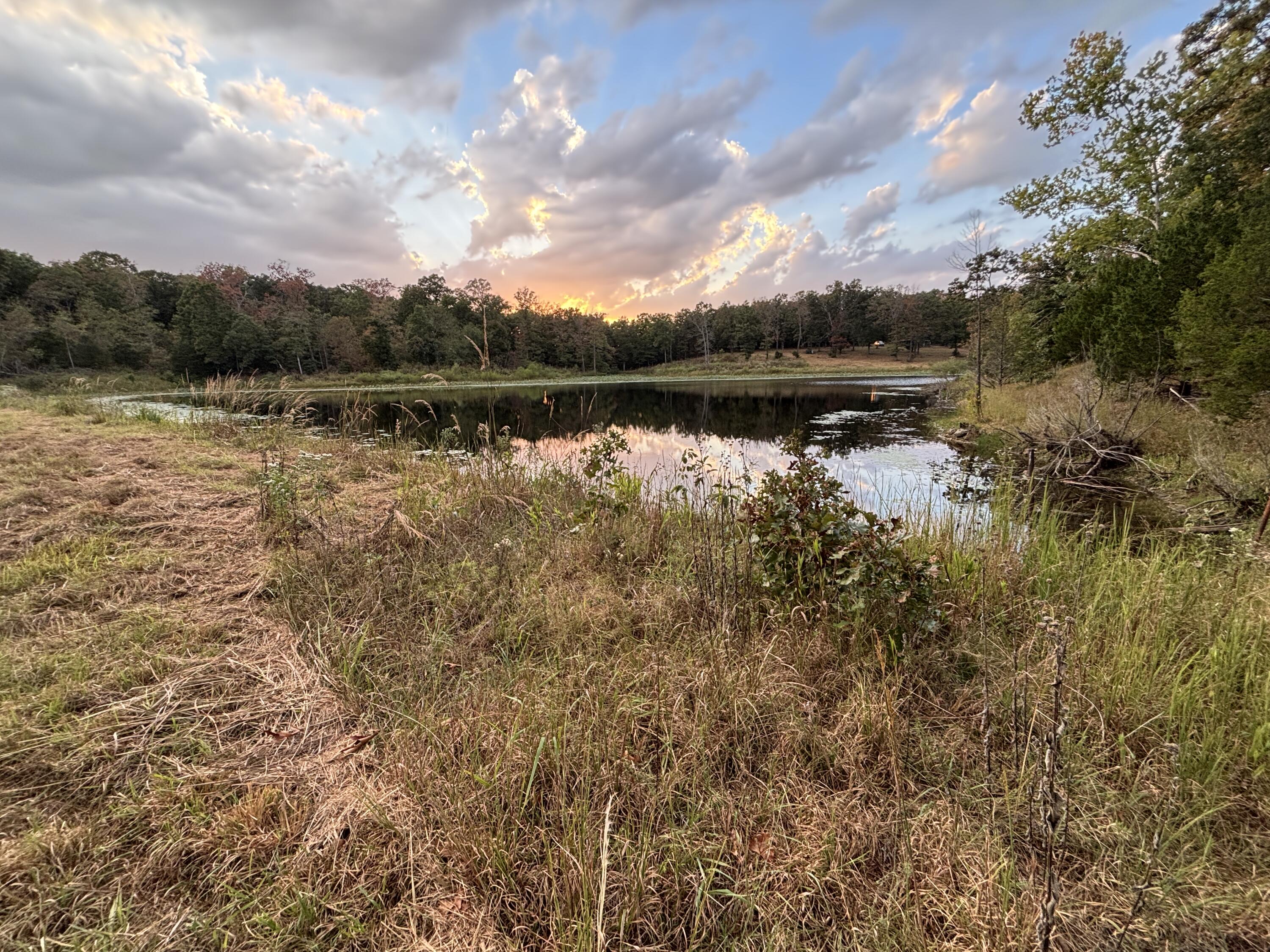 Photo 17 - Land for sale – Tbd  County Road 427   Cross Timbers, MO