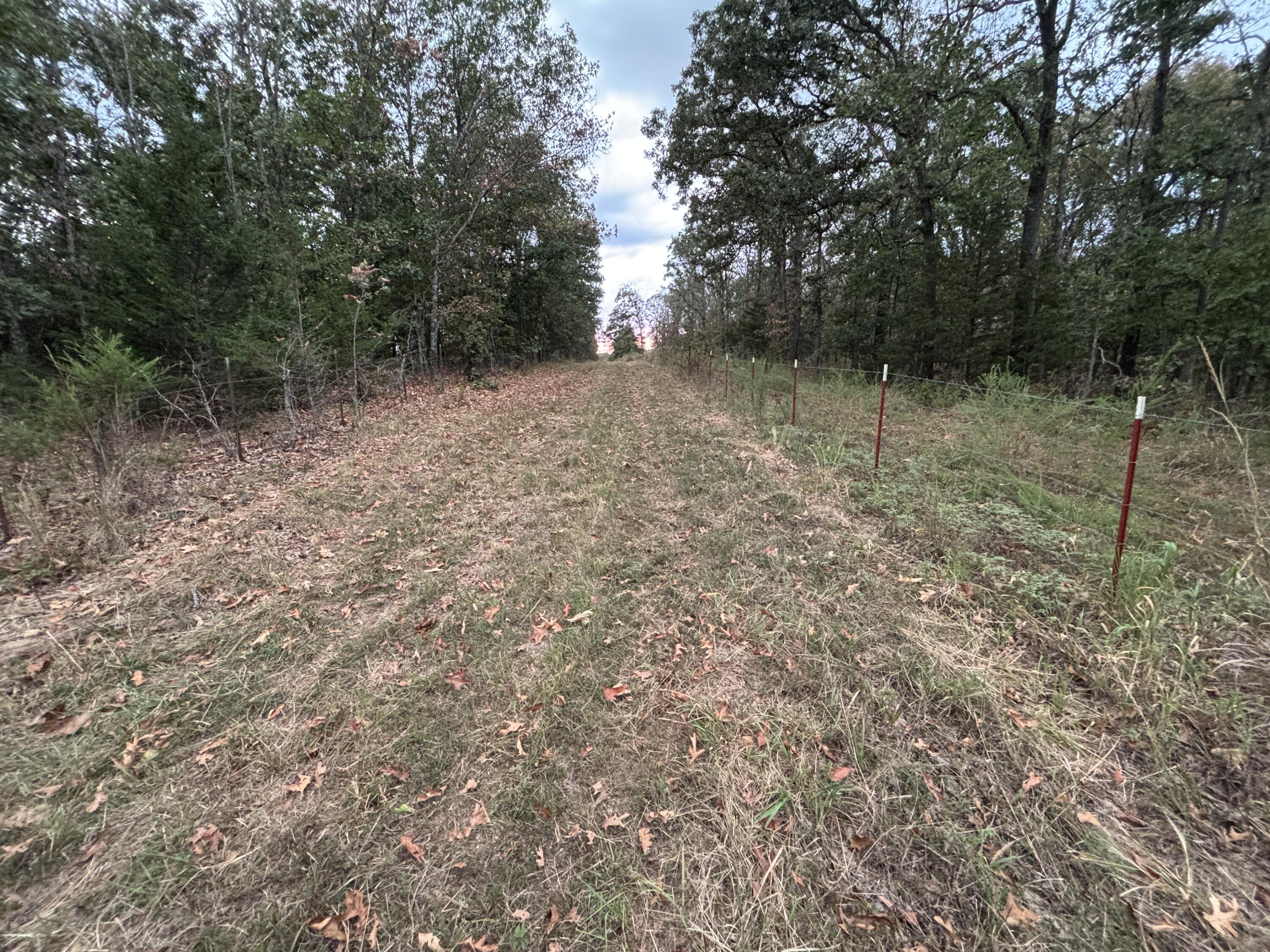 Photo 23 - Land for sale – Tbd  County Road 427   Cross Timbers, MO