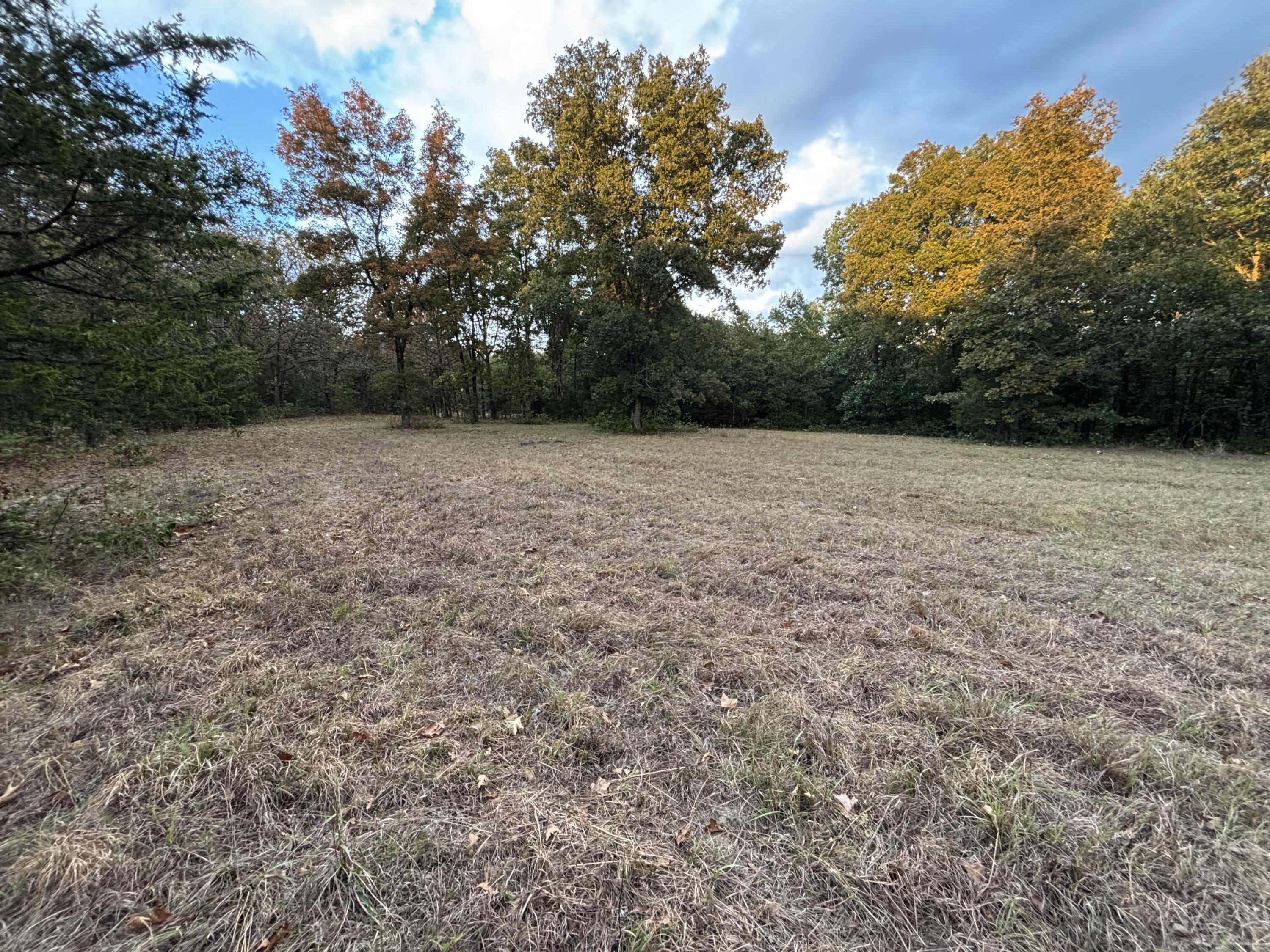 Photo 9 - Land for sale – Tbd  County Road 427   Cross Timbers, MO