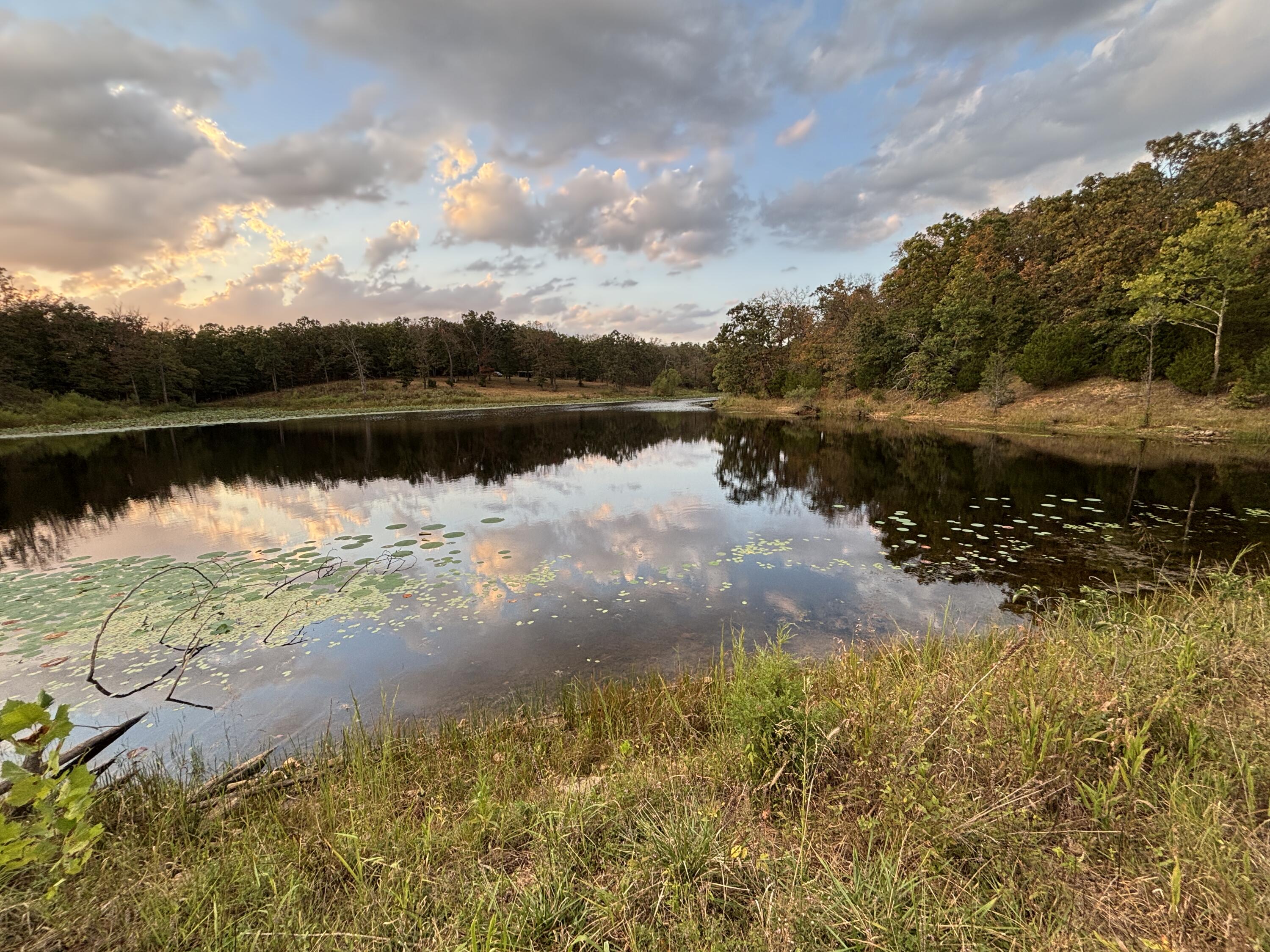 Photo 18 - Land for sale – Tbd  County Road 427   Cross Timbers, MO