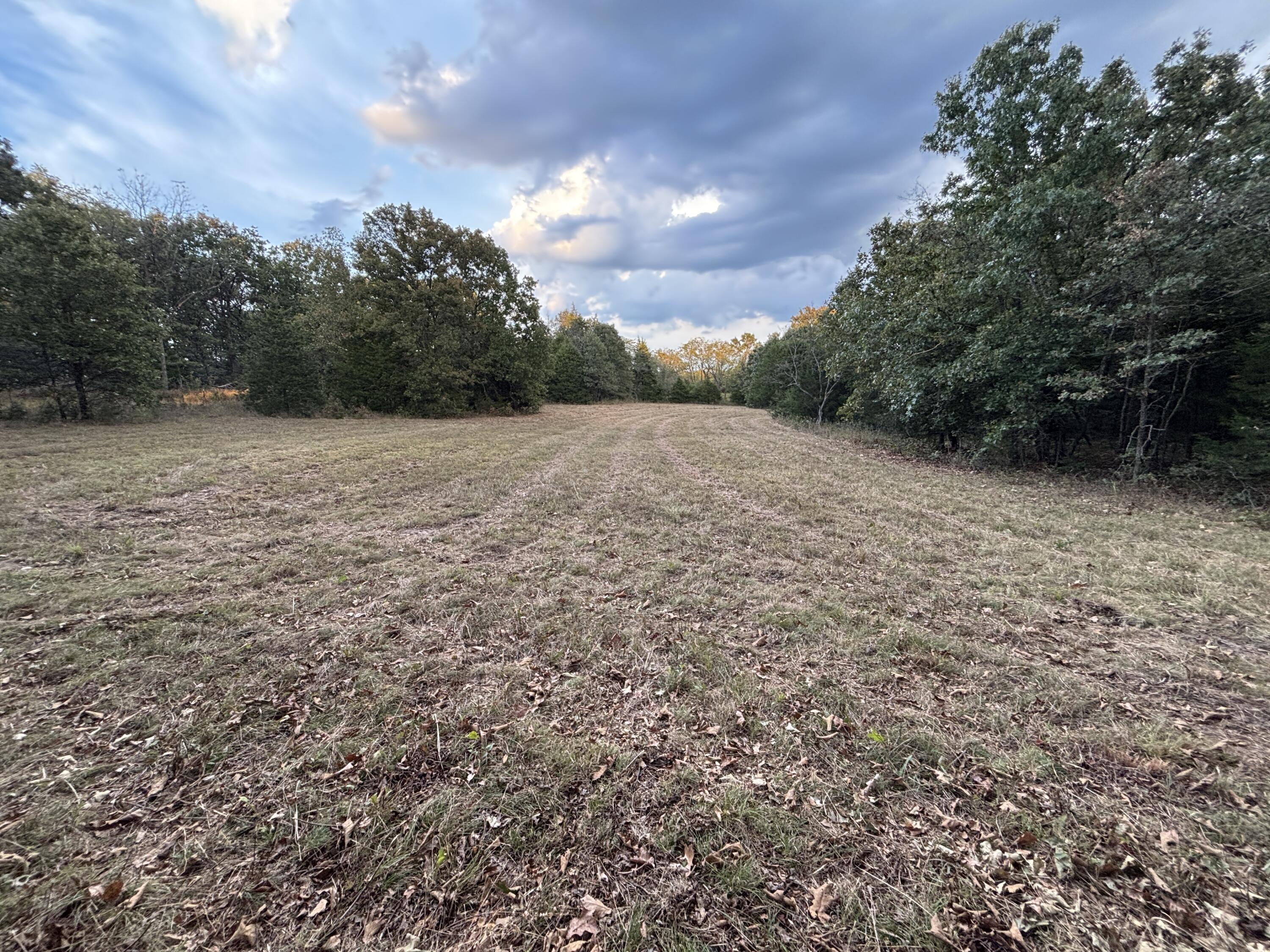 Photo 12 - Land for sale – Tbd  County Road 427   Cross Timbers, MO