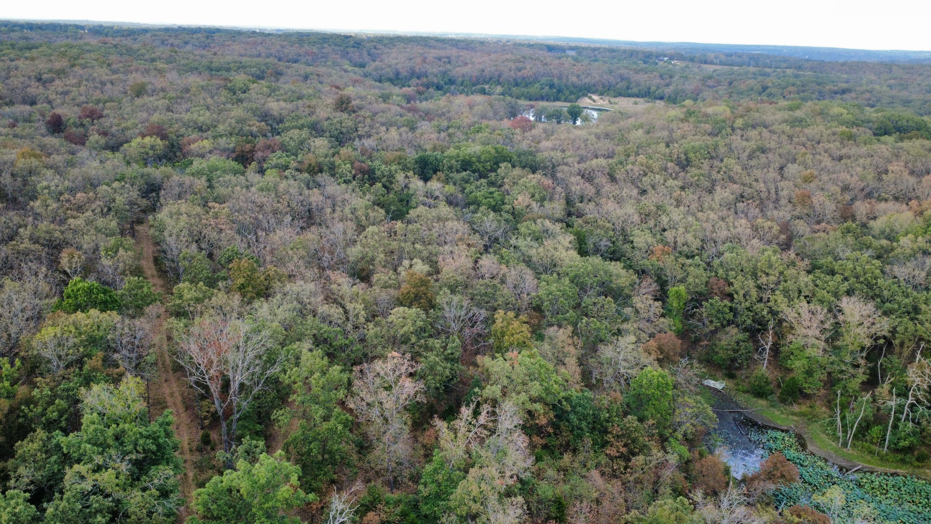 Photo 2 - Land for sale – Tbd  County Road 427   Cross Timbers, MO