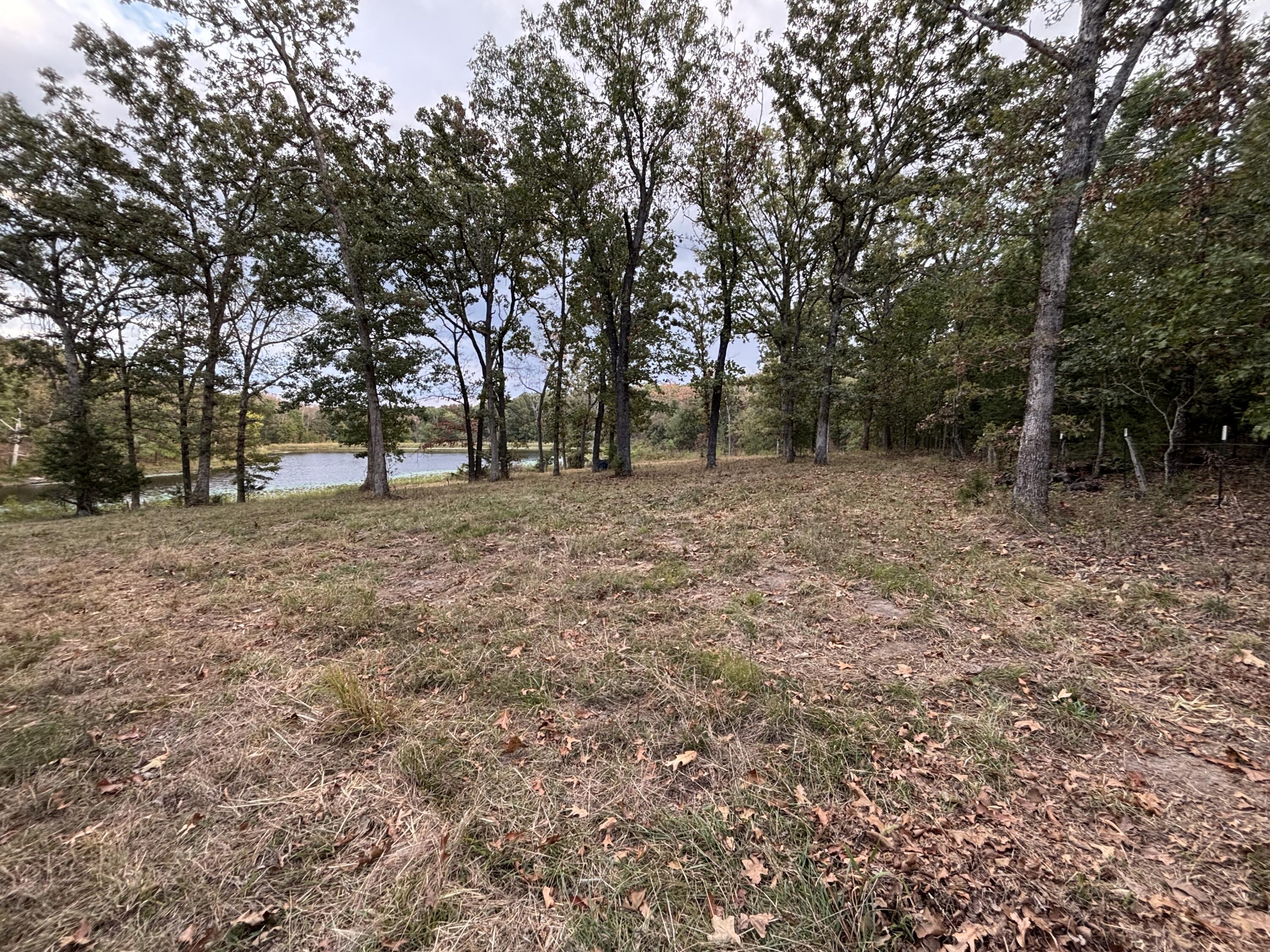 Photo 4 - Land for sale – Tbd  County Road 427   Cross Timbers, MO