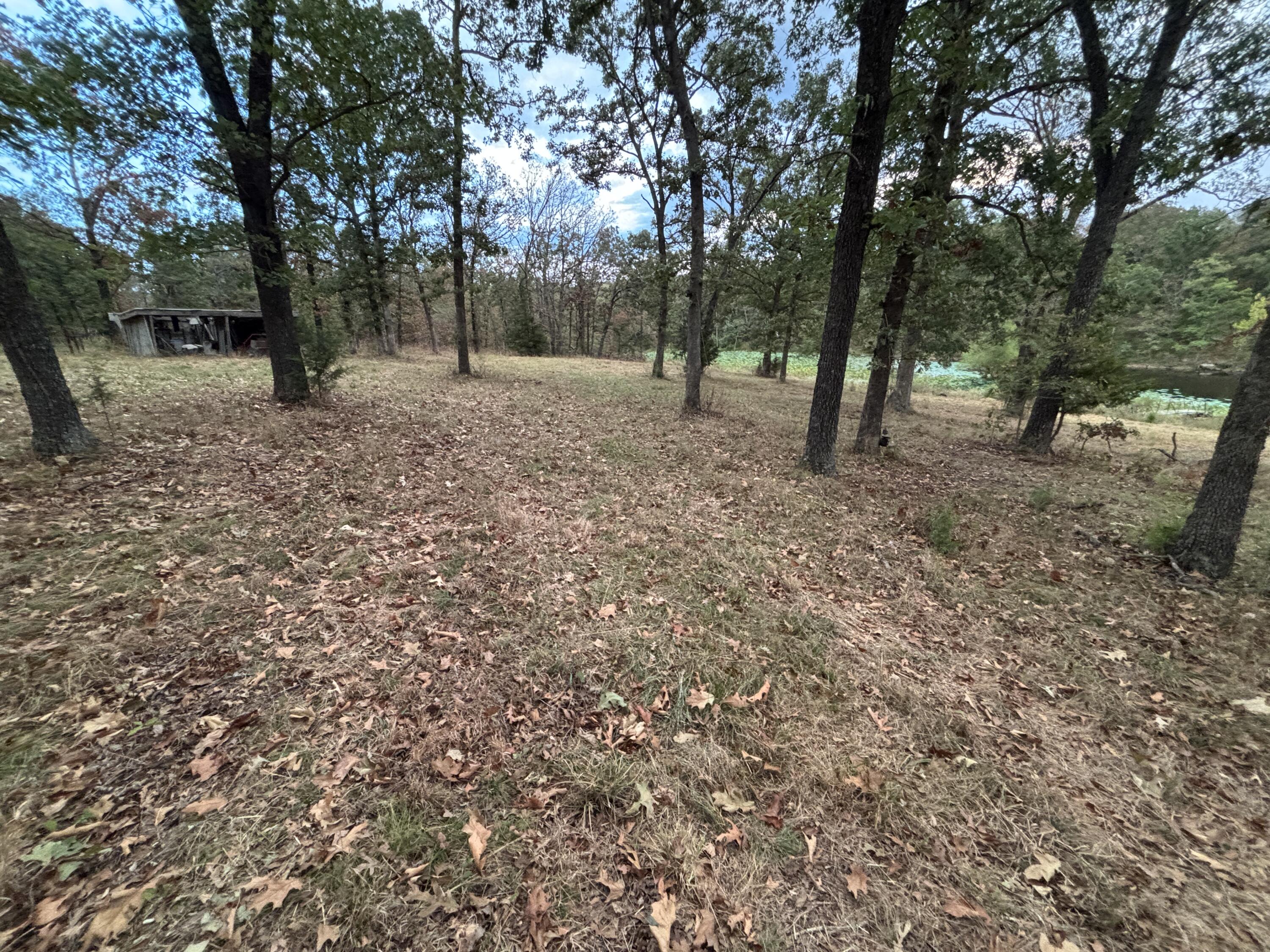 Photo 22 - Land for sale – Tbd  County Road 427   Cross Timbers, MO