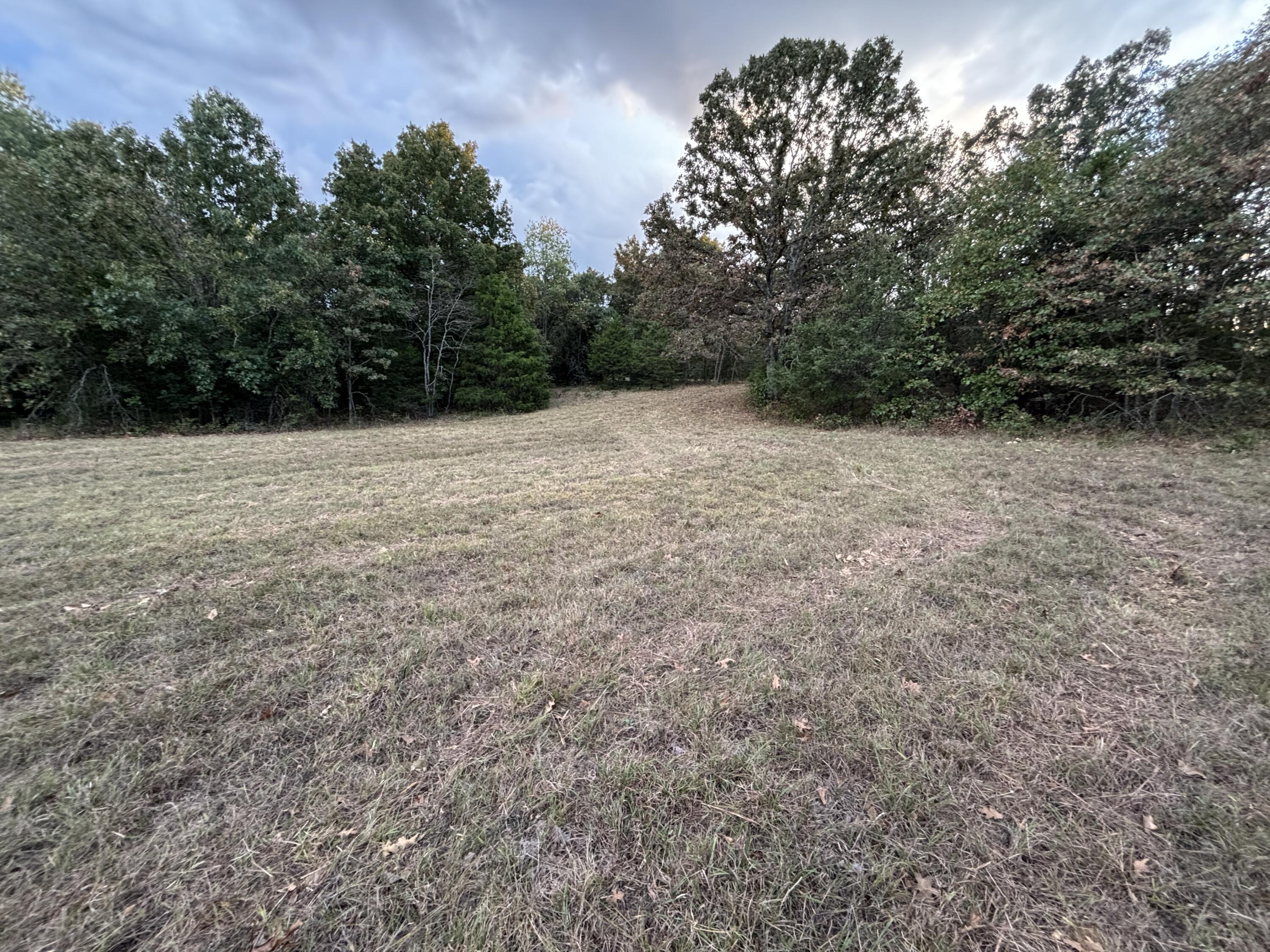 Photo 13 - Land for sale – Tbd  County Road 427   Cross Timbers, MO