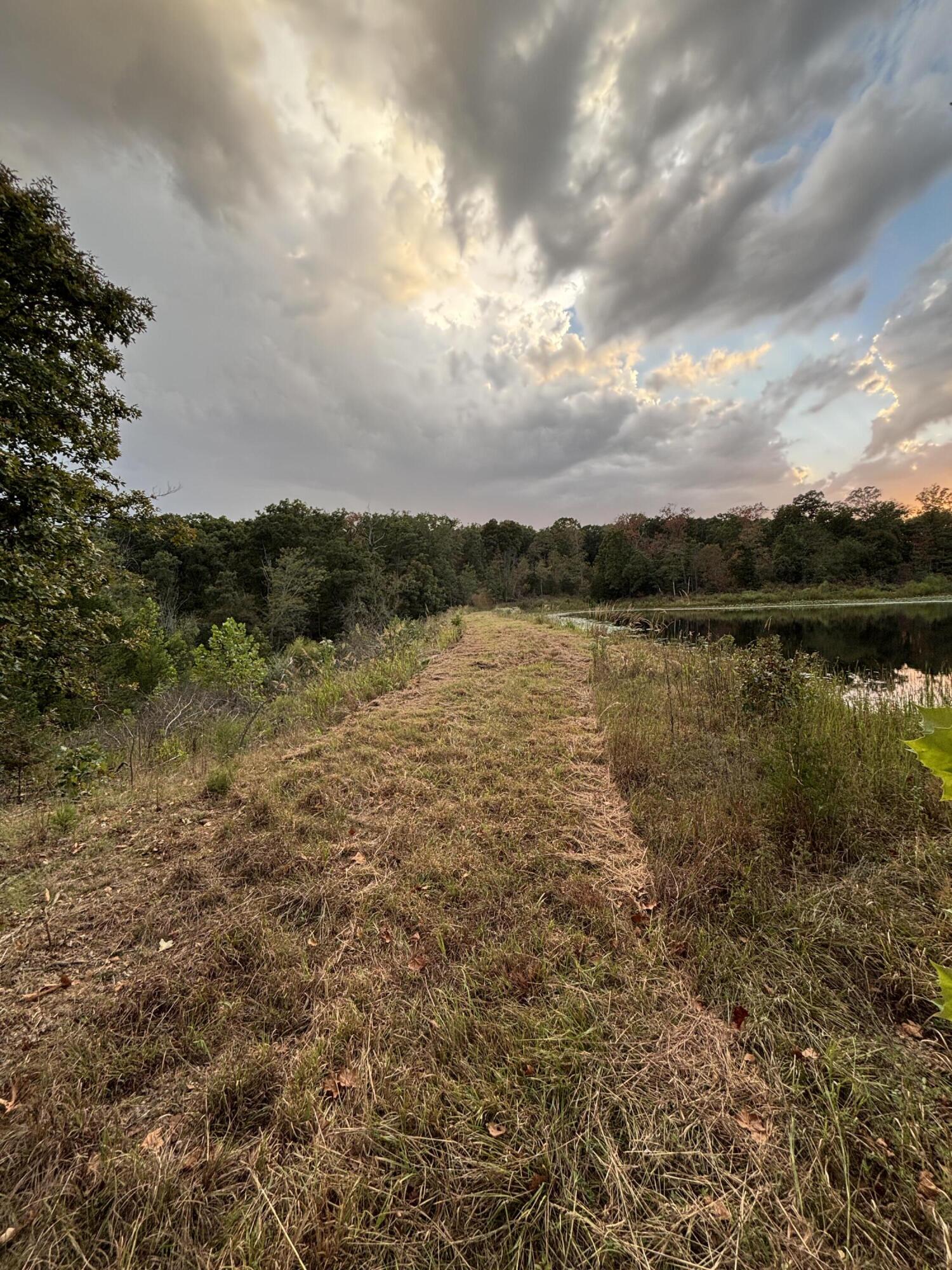 Photo 16 - Land for sale – Tbd  County Road 427   Cross Timbers, MO