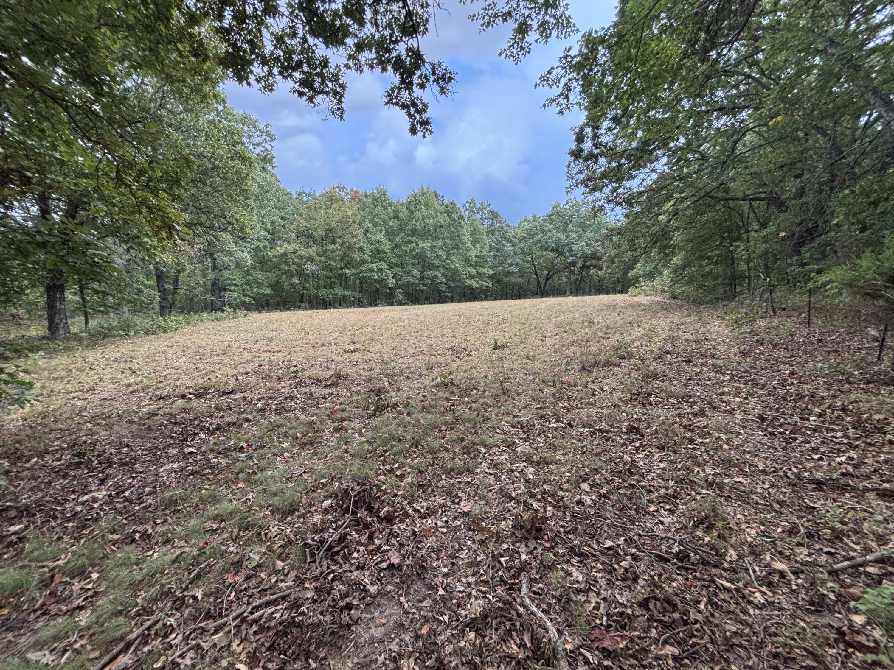Photo 19 - Land for sale – Tbd  County Road 427   Cross Timbers, MO