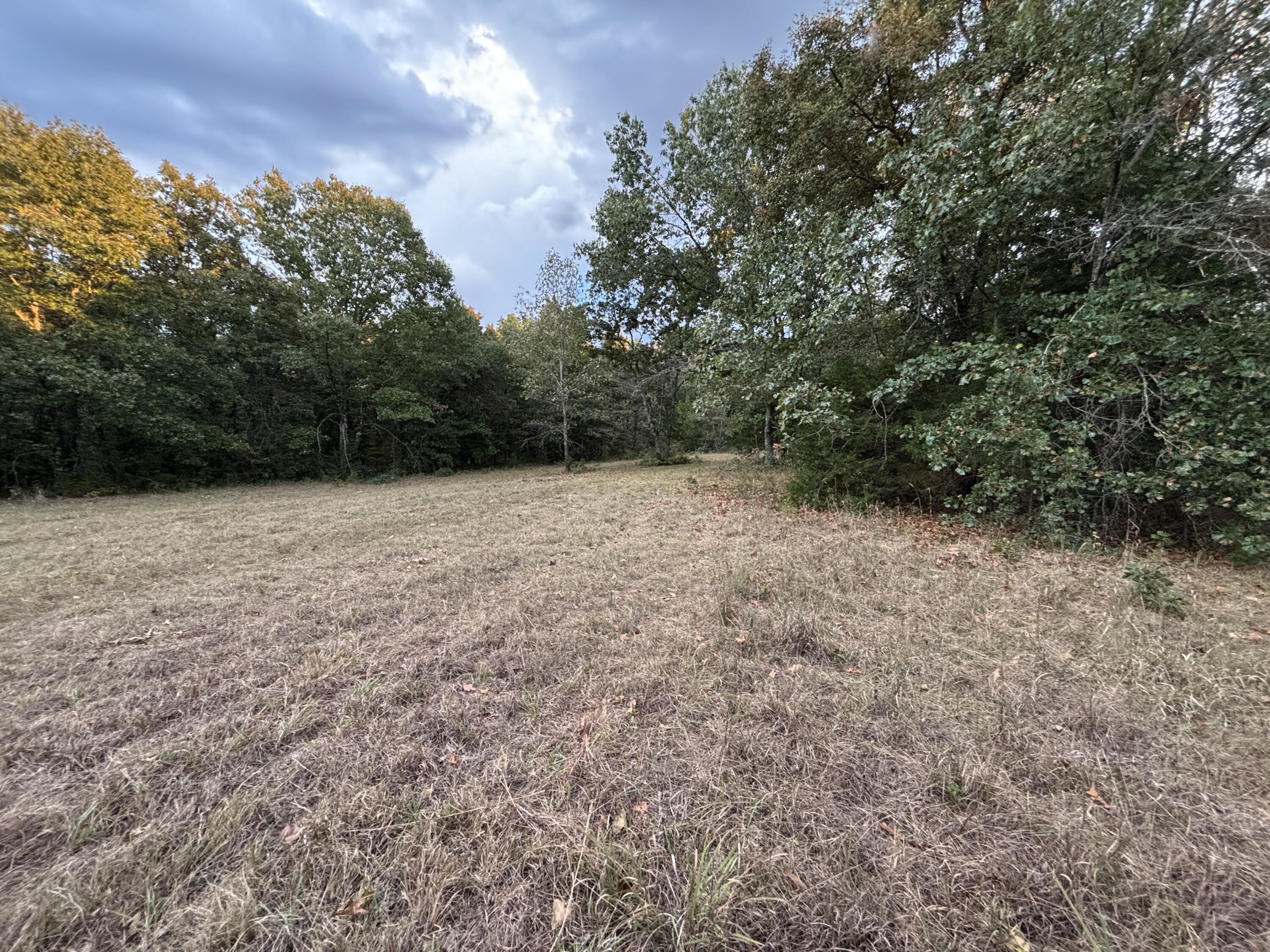 Photo 10 - Land for sale – Tbd  County Road 427   Cross Timbers, MO