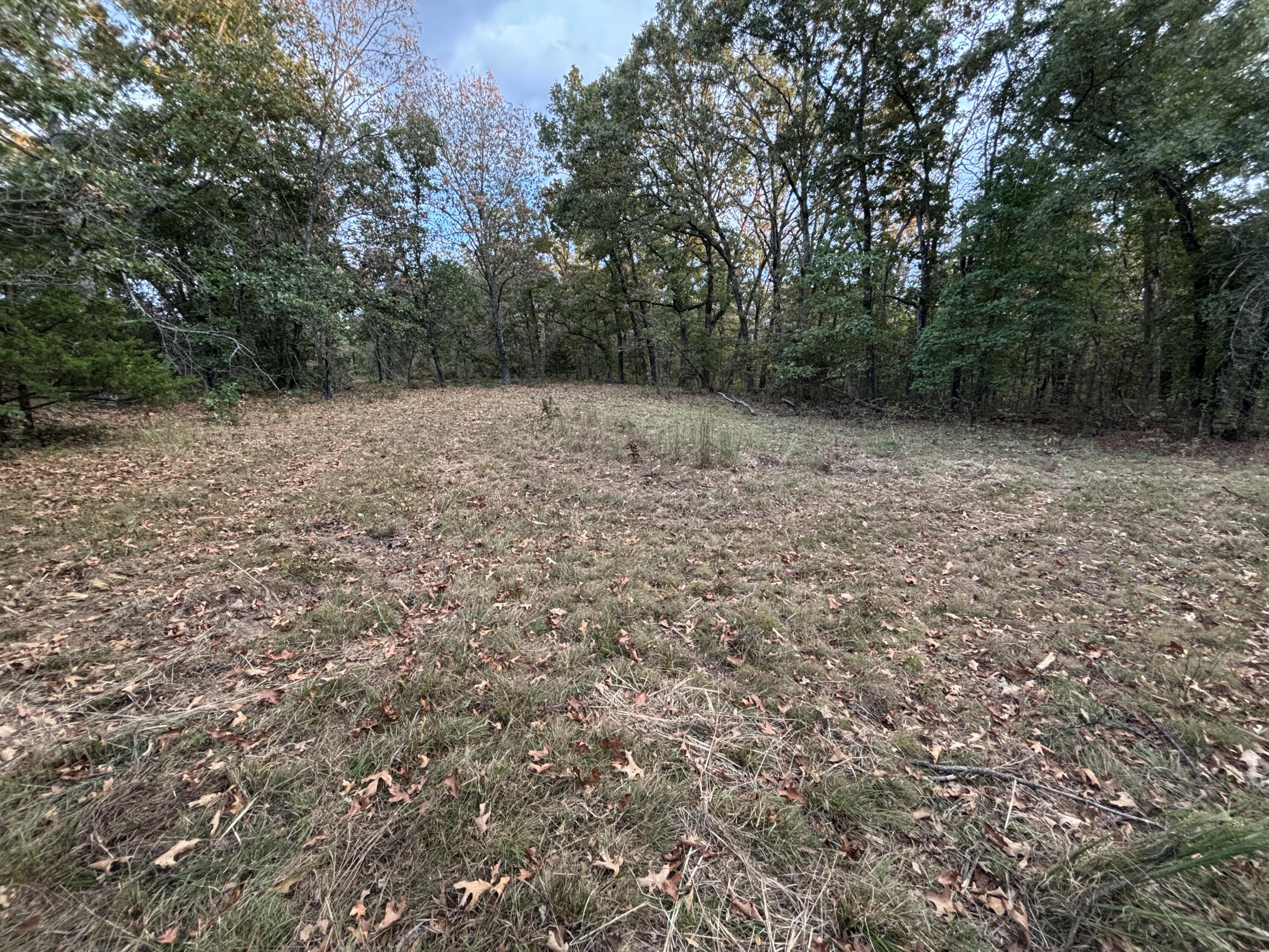 Photo 14 - Land for sale – Tbd  County Road 427   Cross Timbers, MO