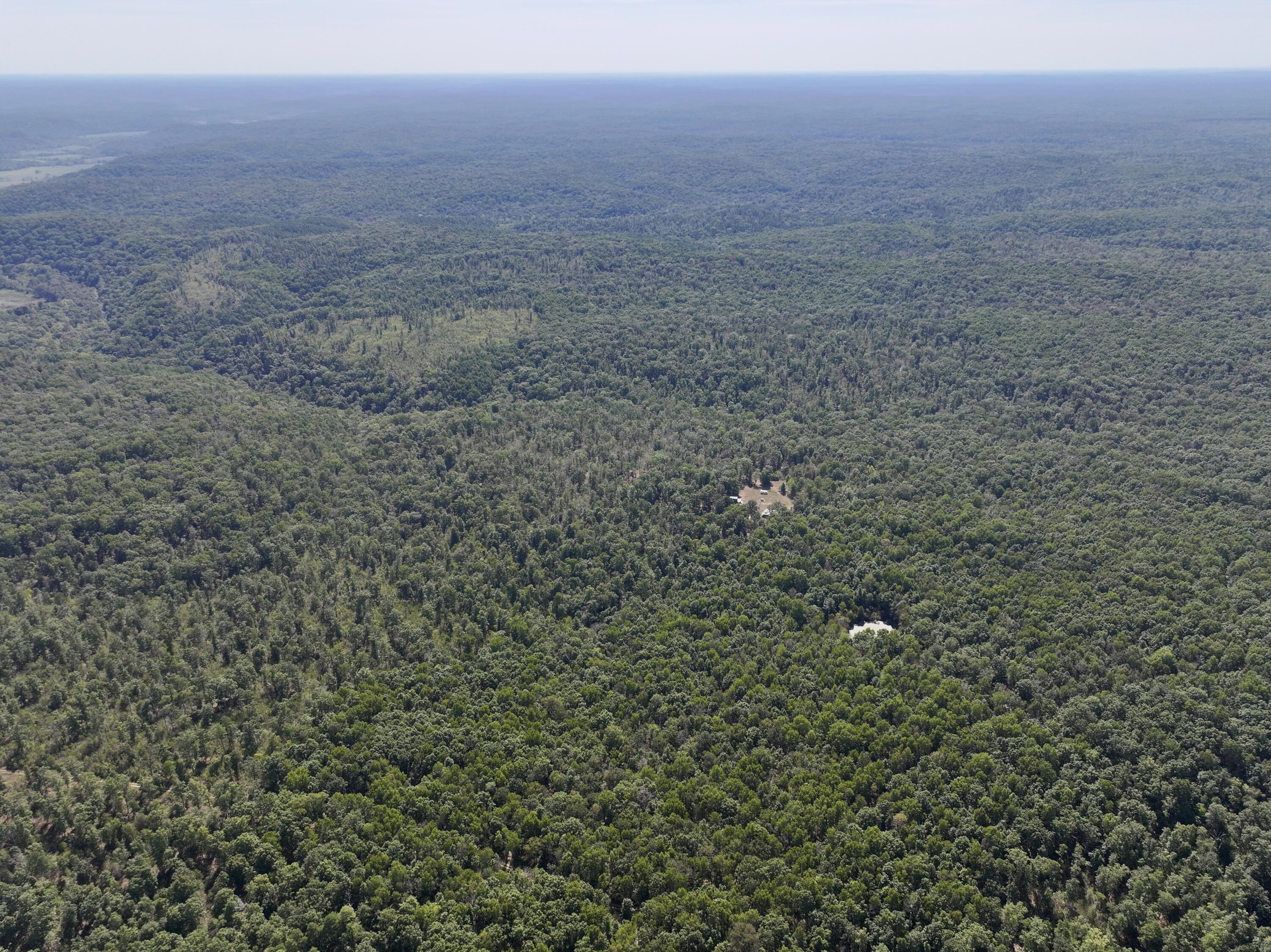 Photo 6 - Land for sale – 196  Forest Rd 9673   Fremont, MO