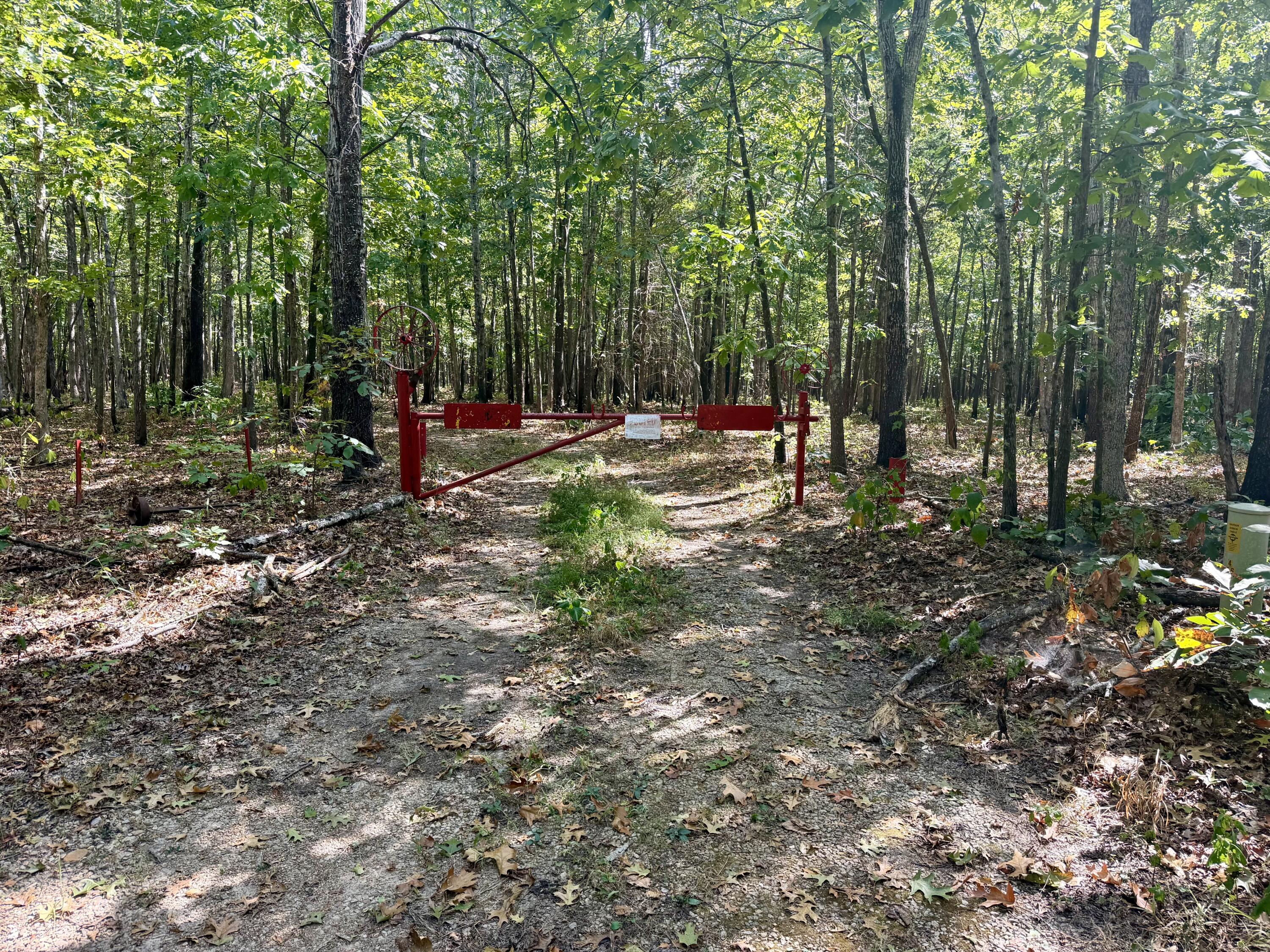 Land for sale – 196  Forest Rd 9673   Fremont, MO