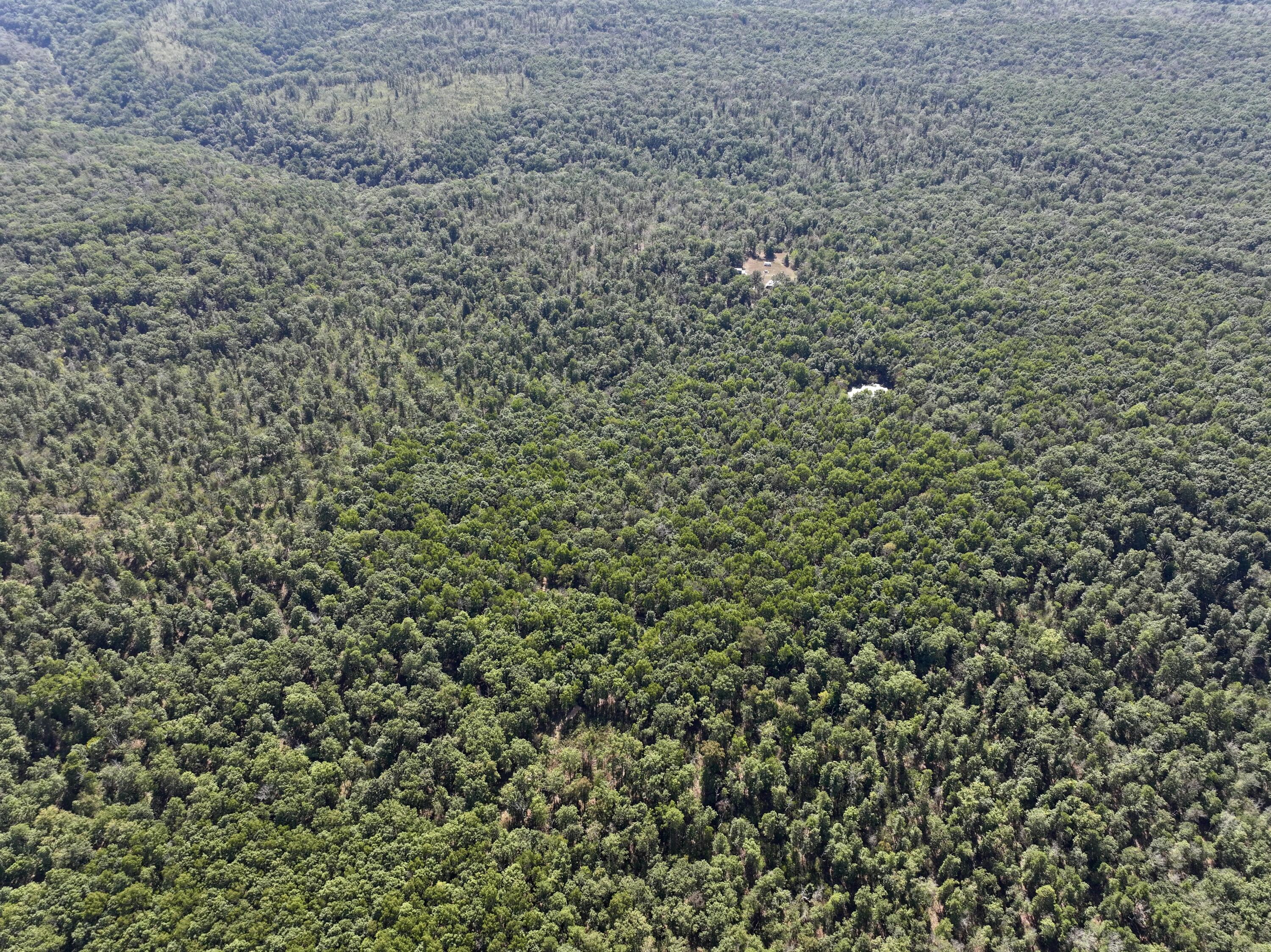 Photo 7 - Land for sale – 196  Forest Rd 9673   Fremont, MO