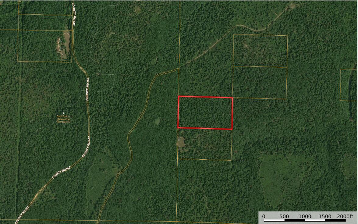 Photo 3 - Land for sale – 196  Forest Rd 9673   Fremont, MO