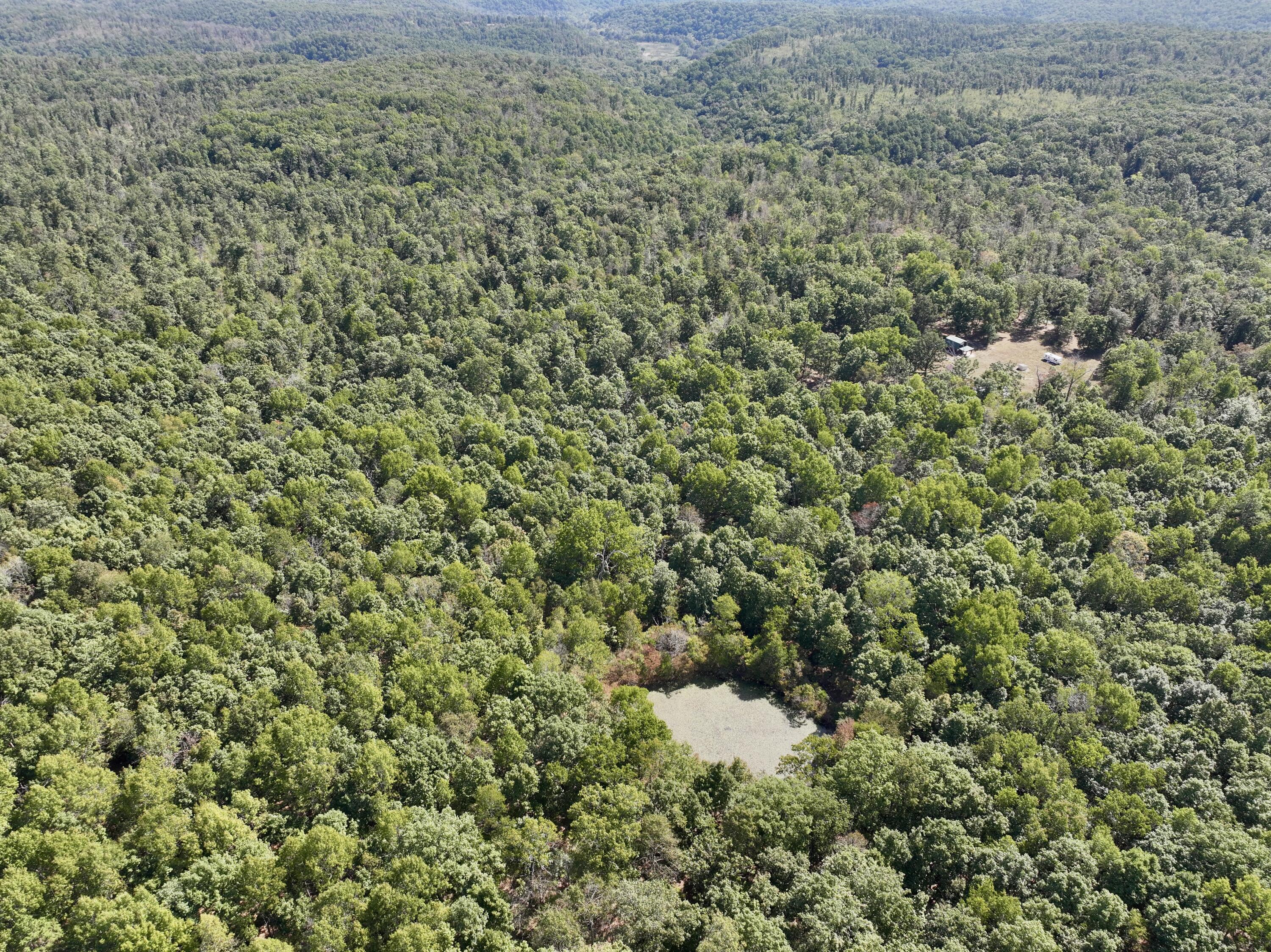 Photo 8 - Land for sale – 196  Forest Rd 9673   Fremont, MO