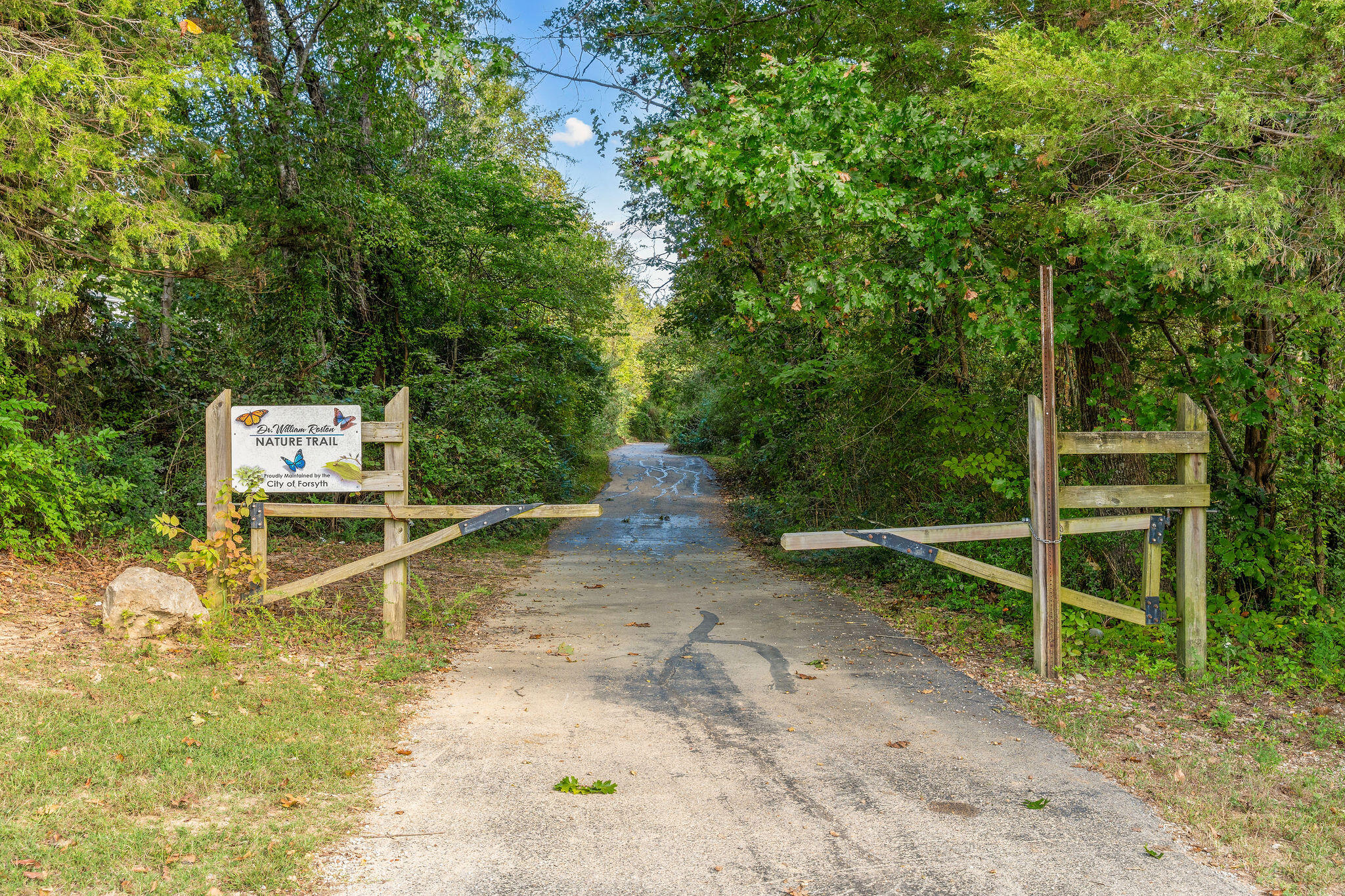 Photo 40 - Residential for sale – 2010  State Highway Y   Forsyth, MO