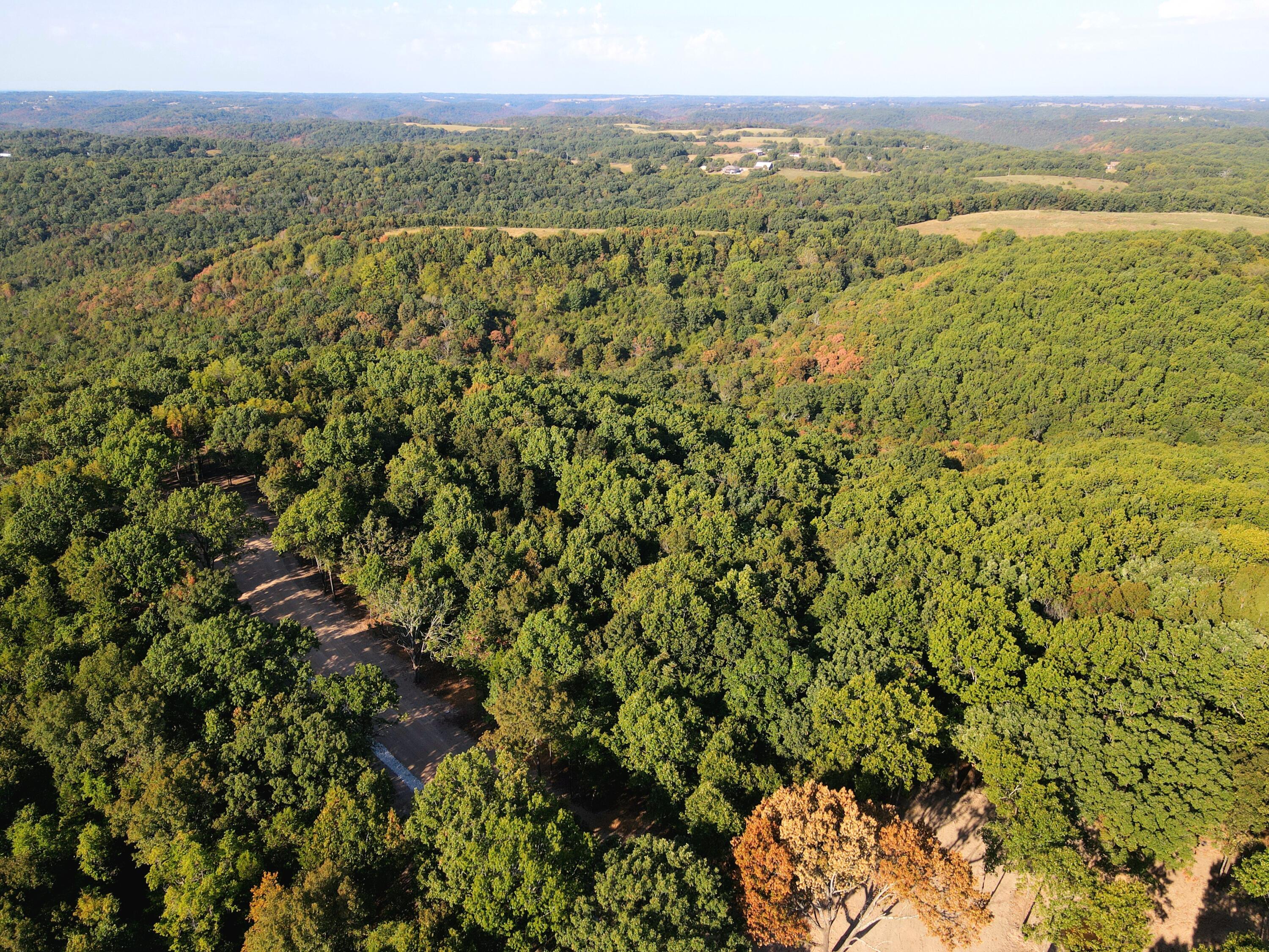Photo 14 - Land for sale – Lot 3  Whispering Windings Court   Walnut Shade, MO