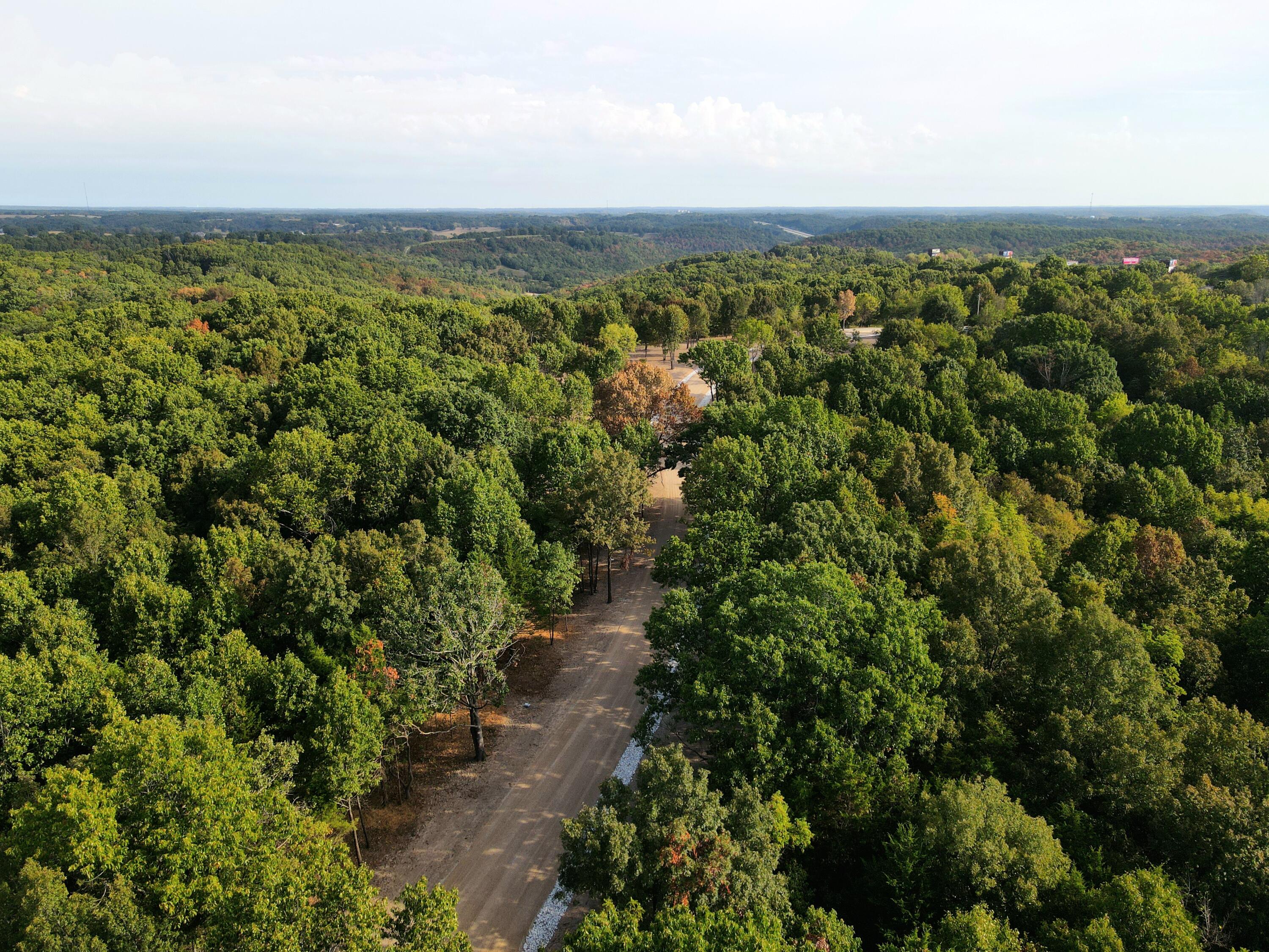 Photo 15 - Land for sale – Lot 3  Whispering Windings Court   Walnut Shade, MO
