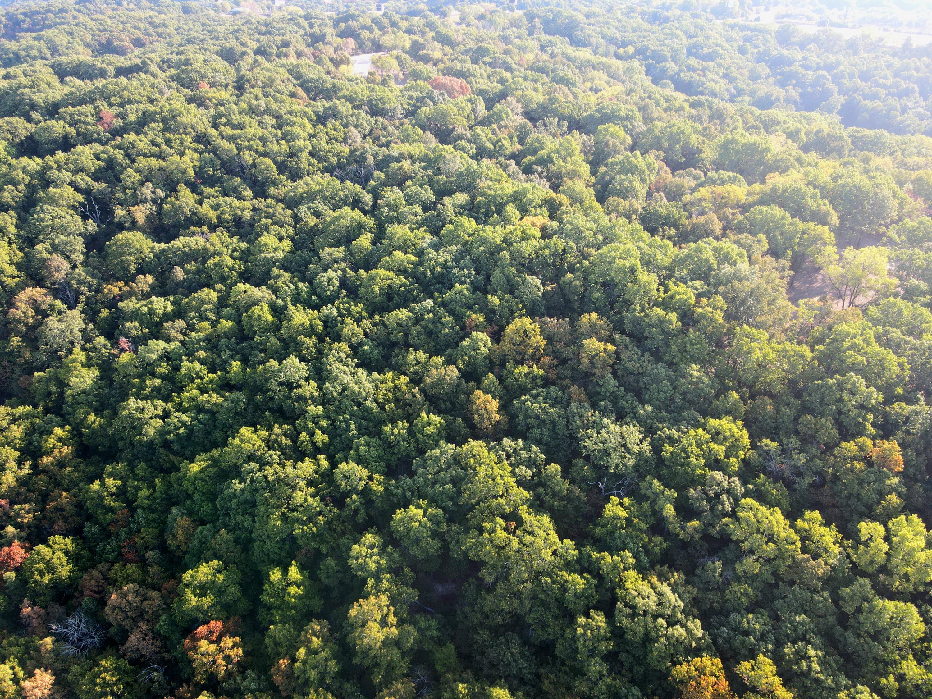 Photo 13 - Land for sale – Lot 3  Whispering Windings Court   Walnut Shade, MO