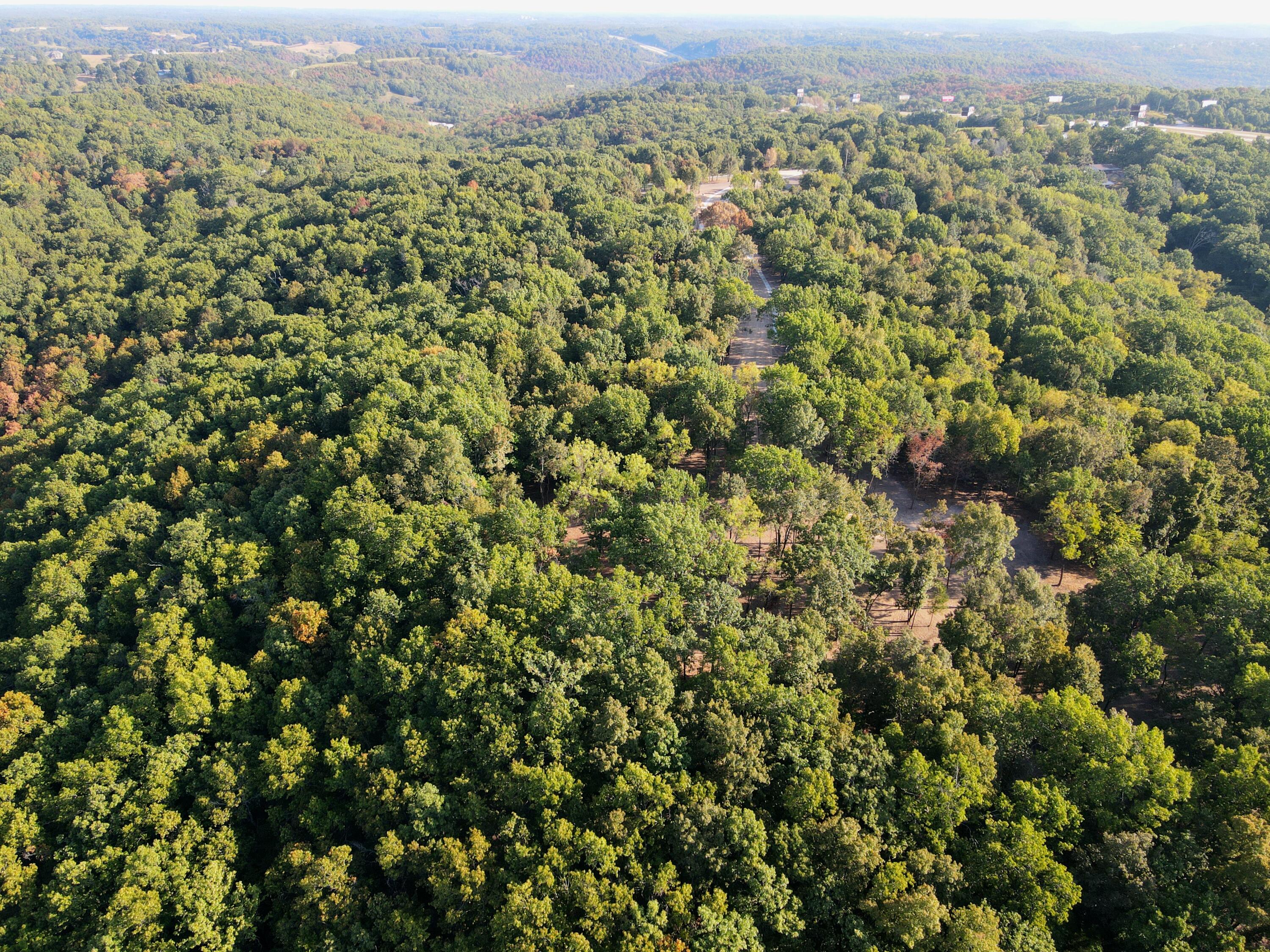 Photo 12 - Land for sale – Lot 3  Whispering Windings Court   Walnut Shade, MO