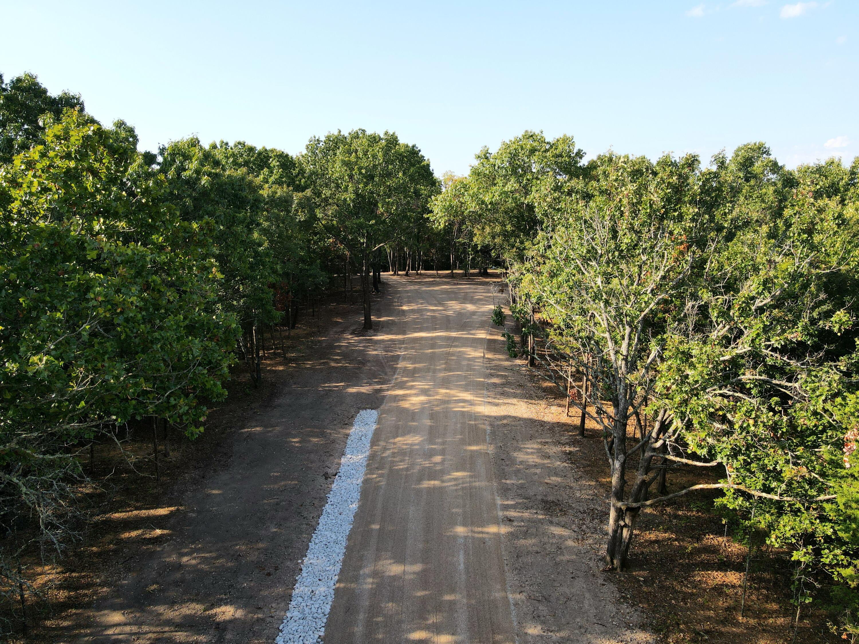 Photo 8 - Land for sale – Lot 3  Whispering Windings Court   Walnut Shade, MO
