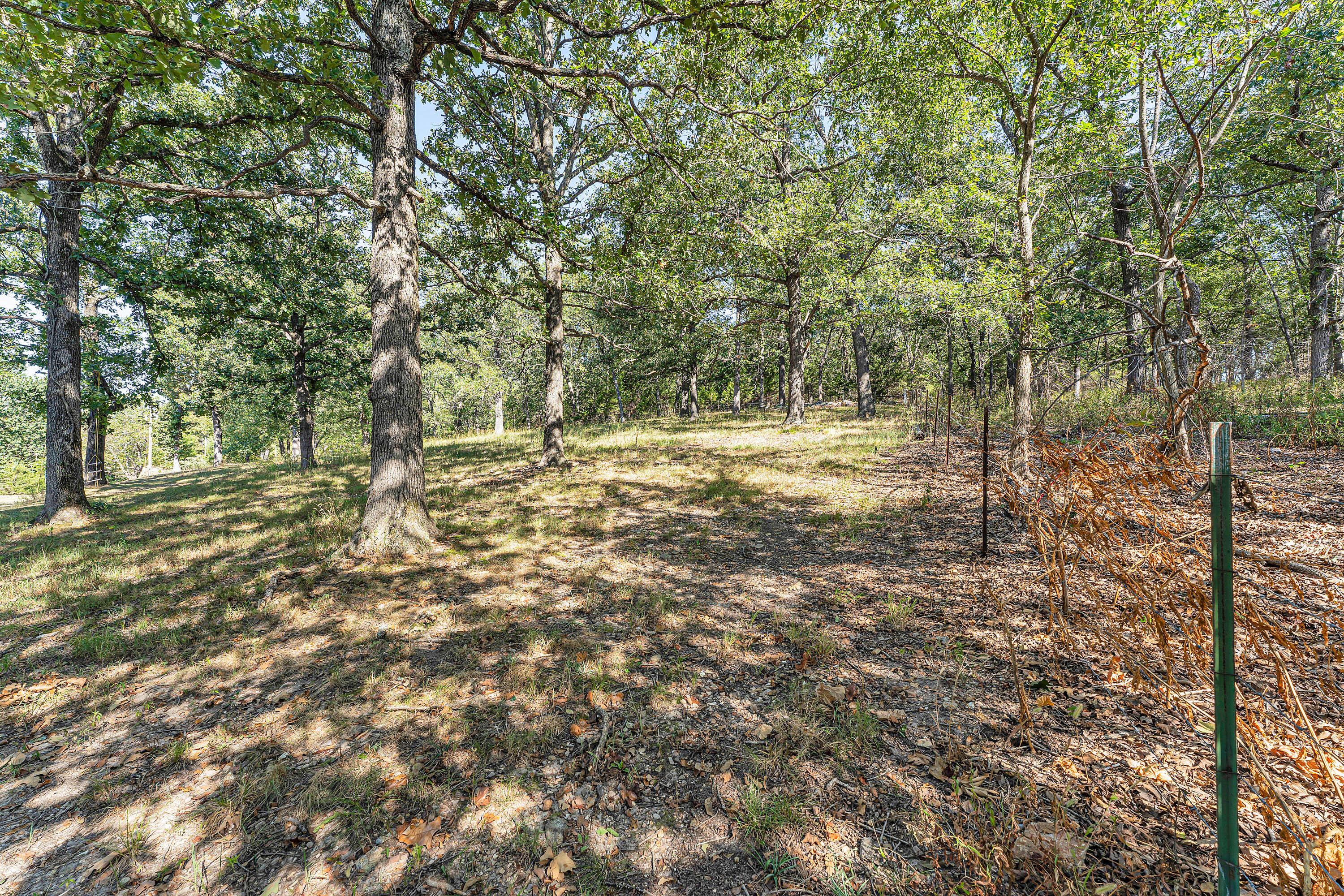 Photo 37 - Residential for sale – 781  State Road M   Conway, MO