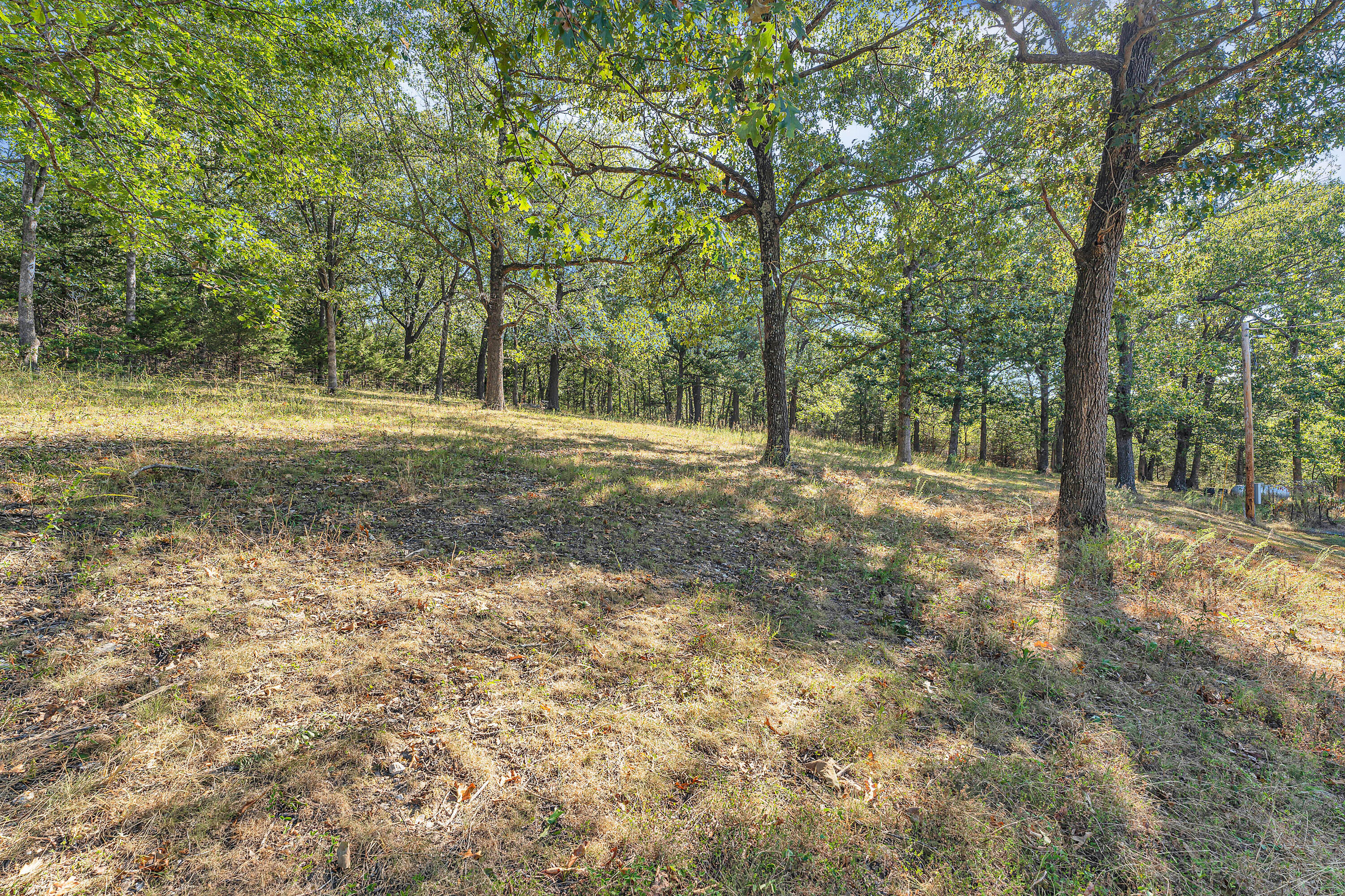 Photo 33 - Residential for sale – 781  State Road M   Conway, MO