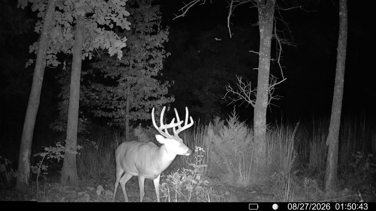 Photo 16 - Land for sale – 000  County Road Ww-A   Summersville, MO