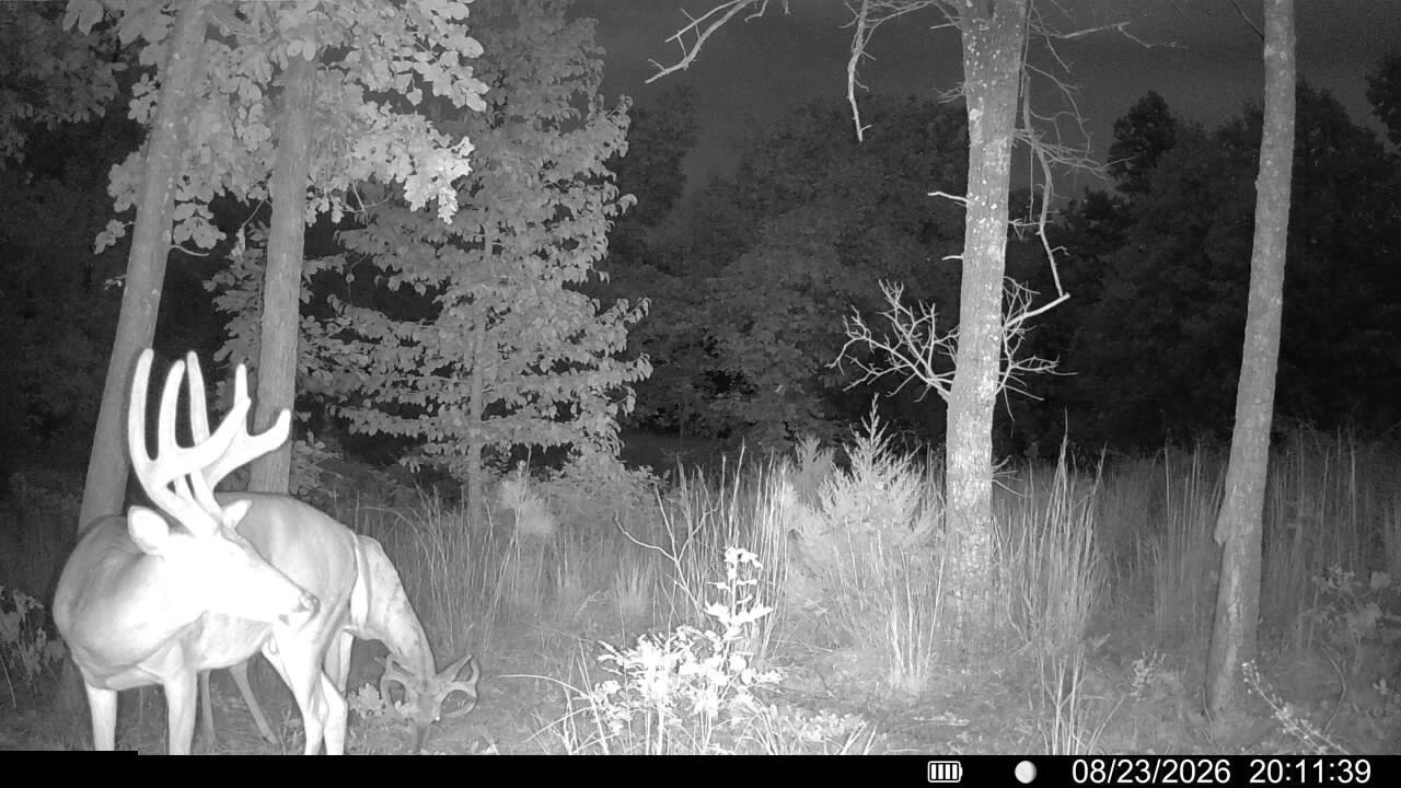 Photo 2 - Land for sale – 000  County Road Ww-A   Summersville, MO