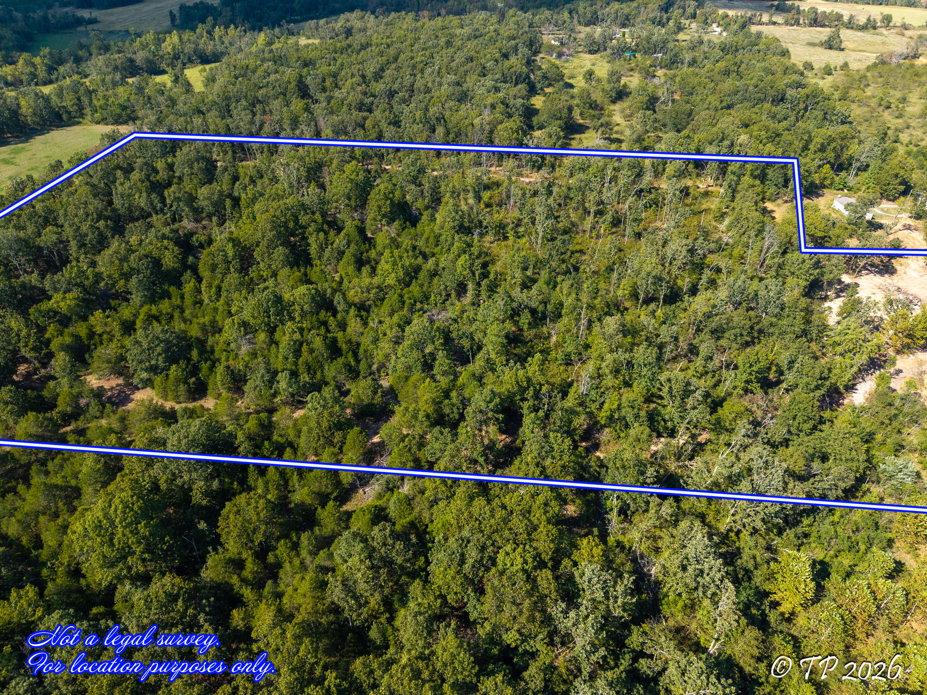 Photo 8 - Land for sale – 000  County Road 6810   West Plains, MO