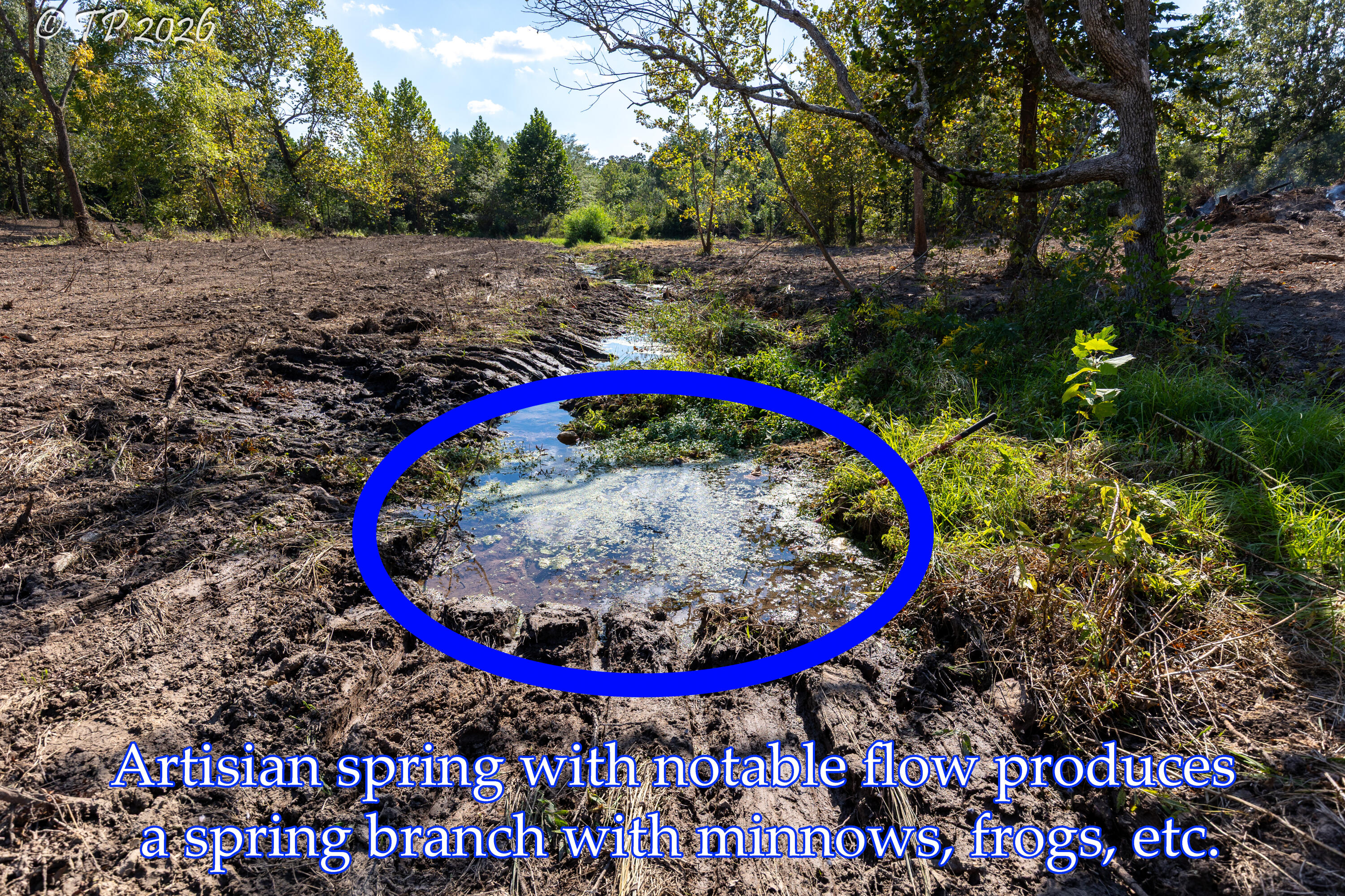 Photo 22 - Land for sale – 000  County Road 6810   West Plains, MO