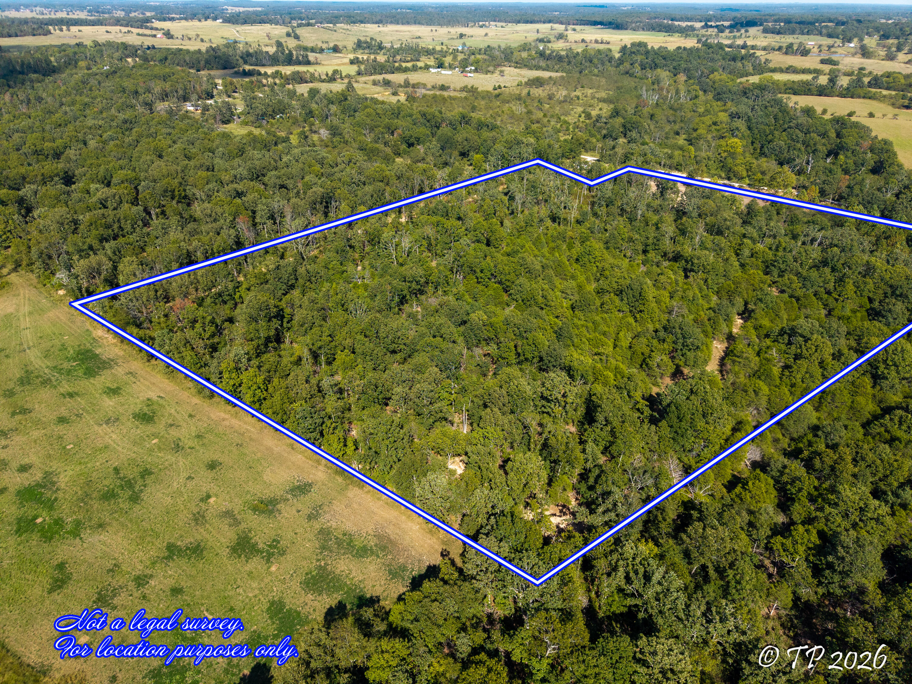 Photo 7 - Land for sale – 000  County Road 6810   West Plains, MO