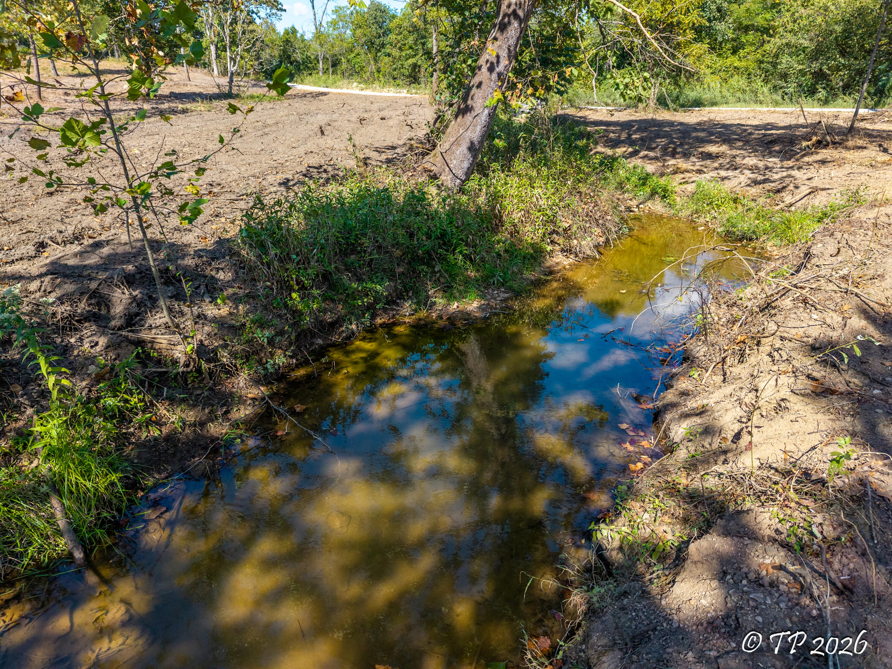 Photo 5 - Land for sale – 000  County Road 6810   West Plains, MO