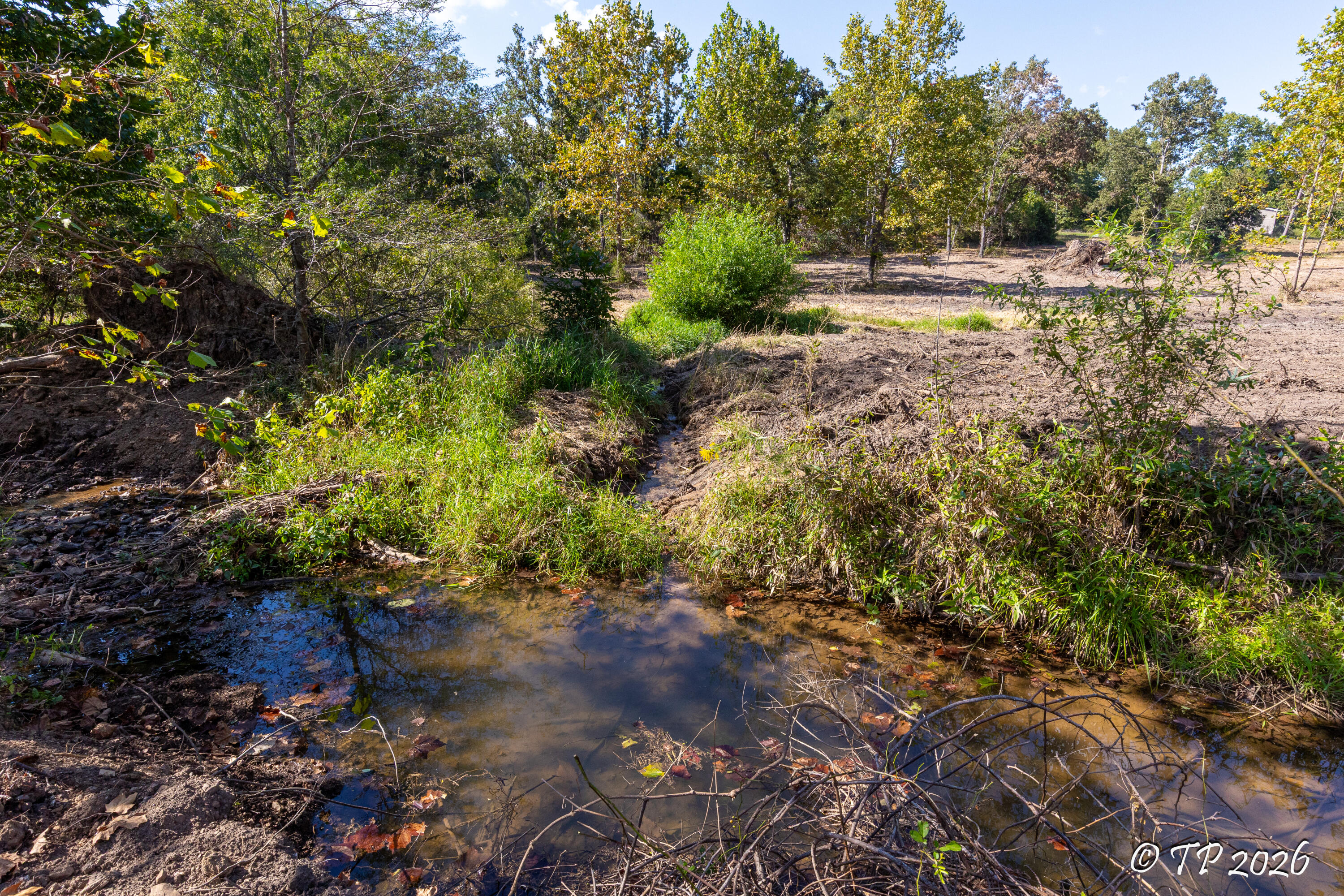 Photo 29 - Land for sale – 000  County Road 6810   West Plains, MO
