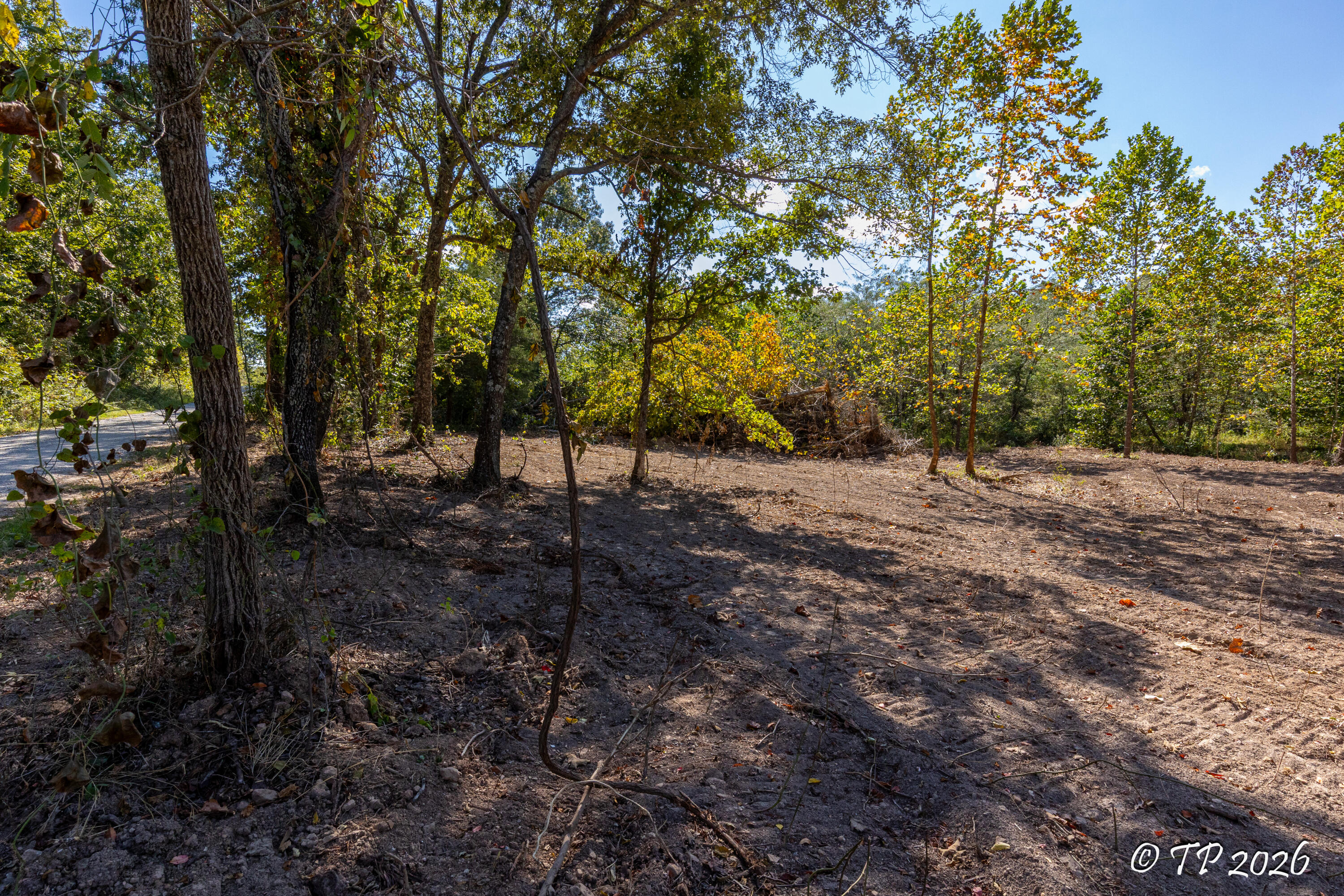 Photo 24 - Land for sale – 000  County Road 6810   West Plains, MO
