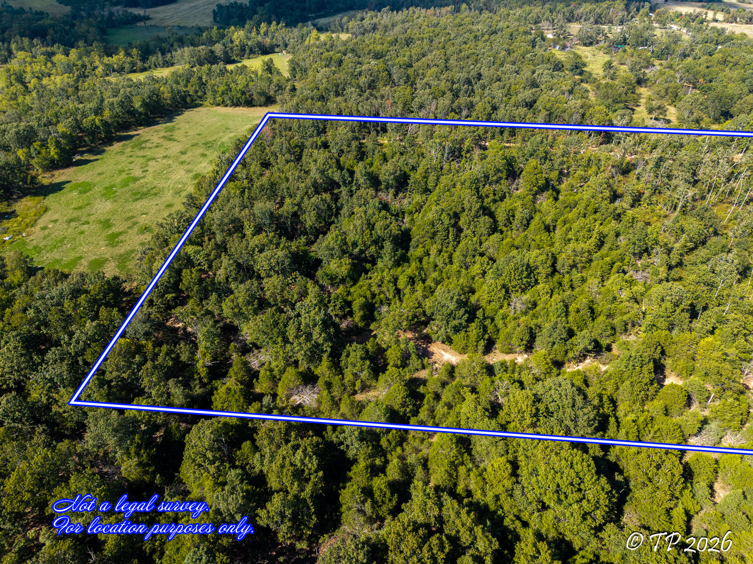 Photo 9 - Land for sale – 000  County Road 6810   West Plains, MO