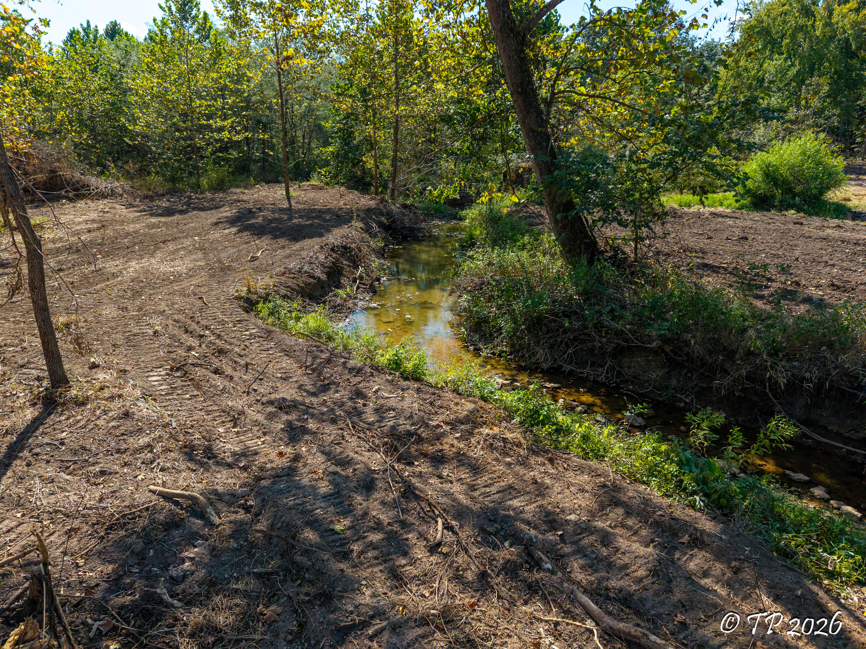 Photo 11 - Land for sale – 000  County Road 6810   West Plains, MO