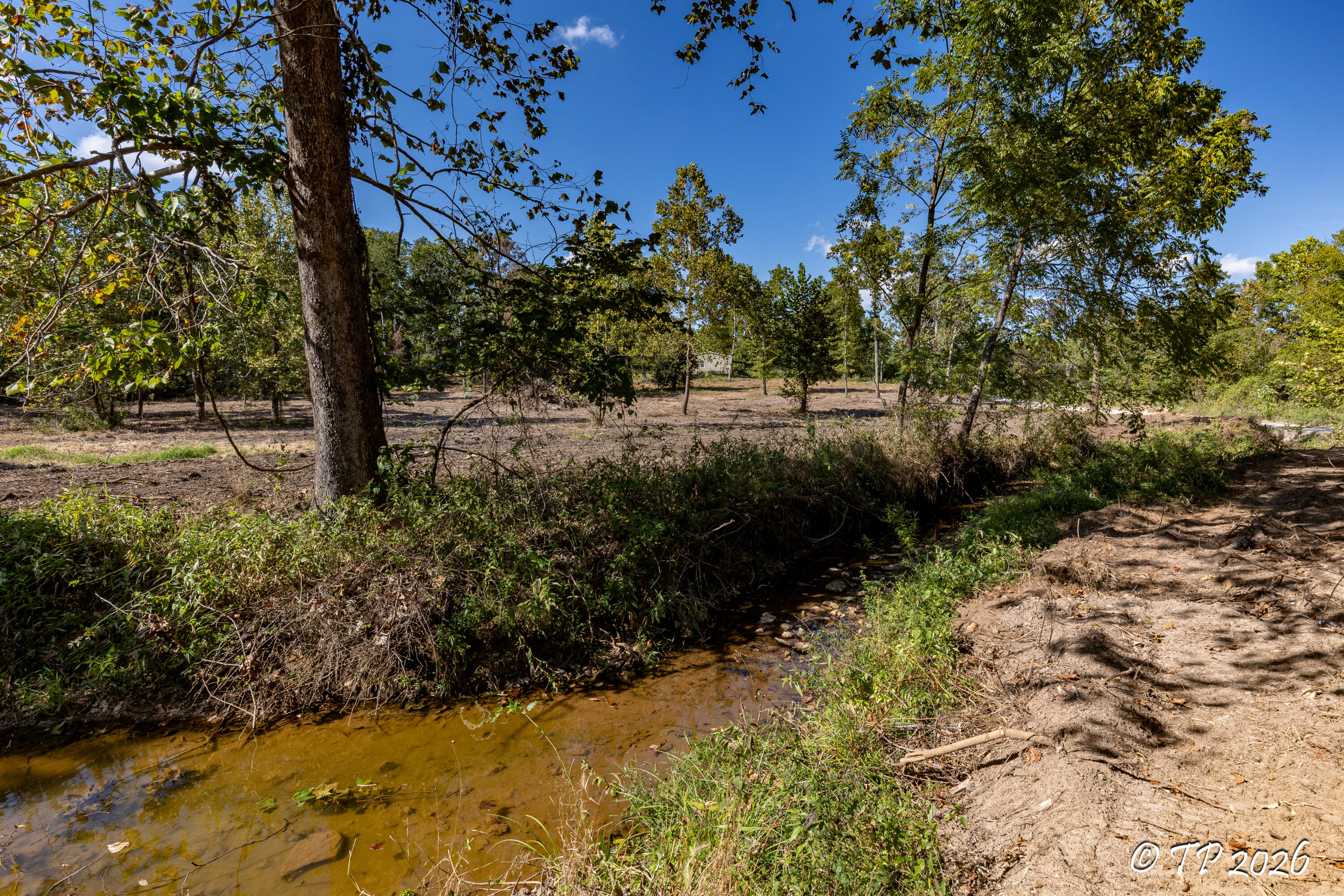Photo 27 - Land for sale – 000  County Road 6810   West Plains, MO