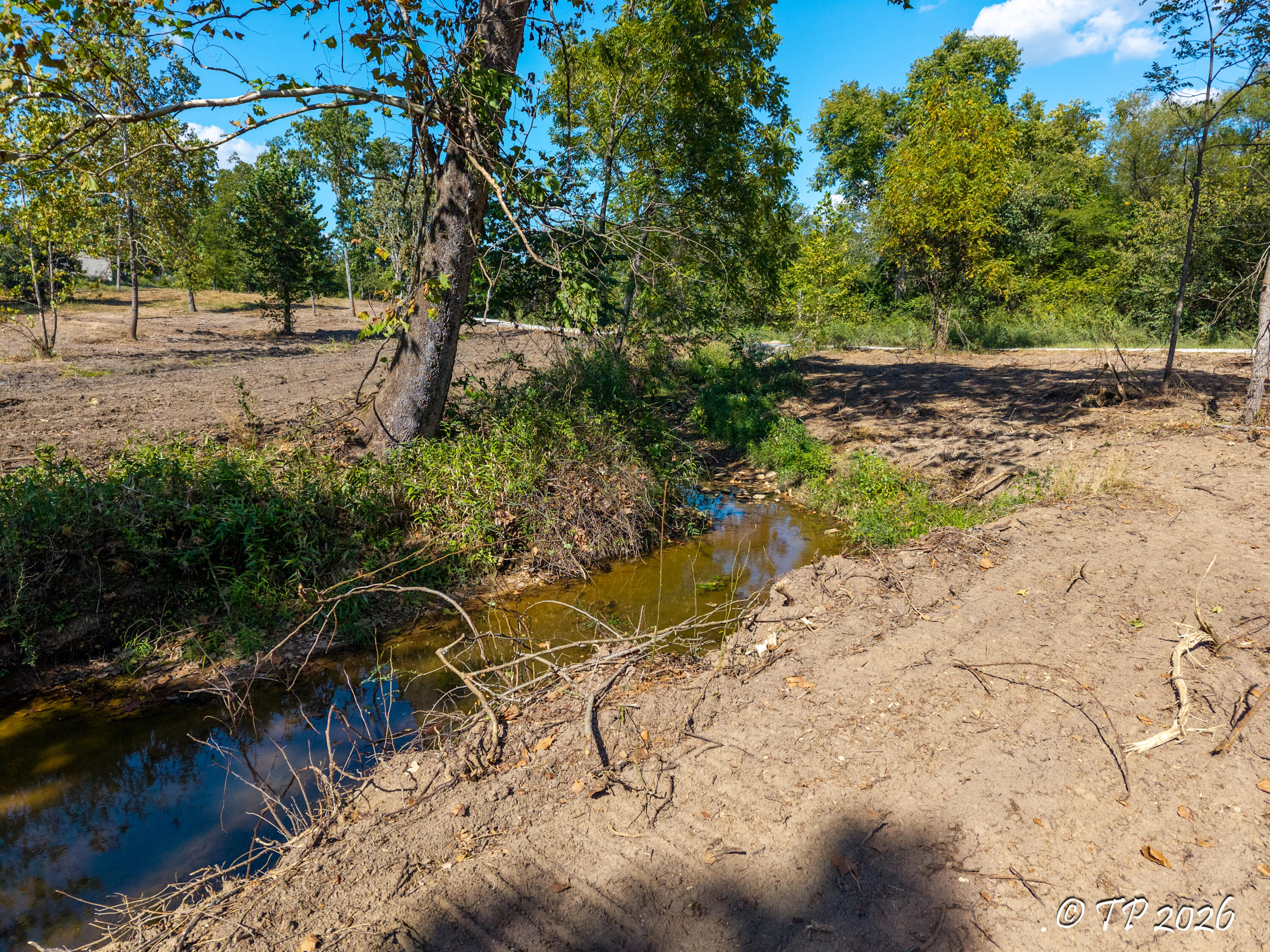 Photo 4 - Land for sale – 000  County Road 6810   West Plains, MO