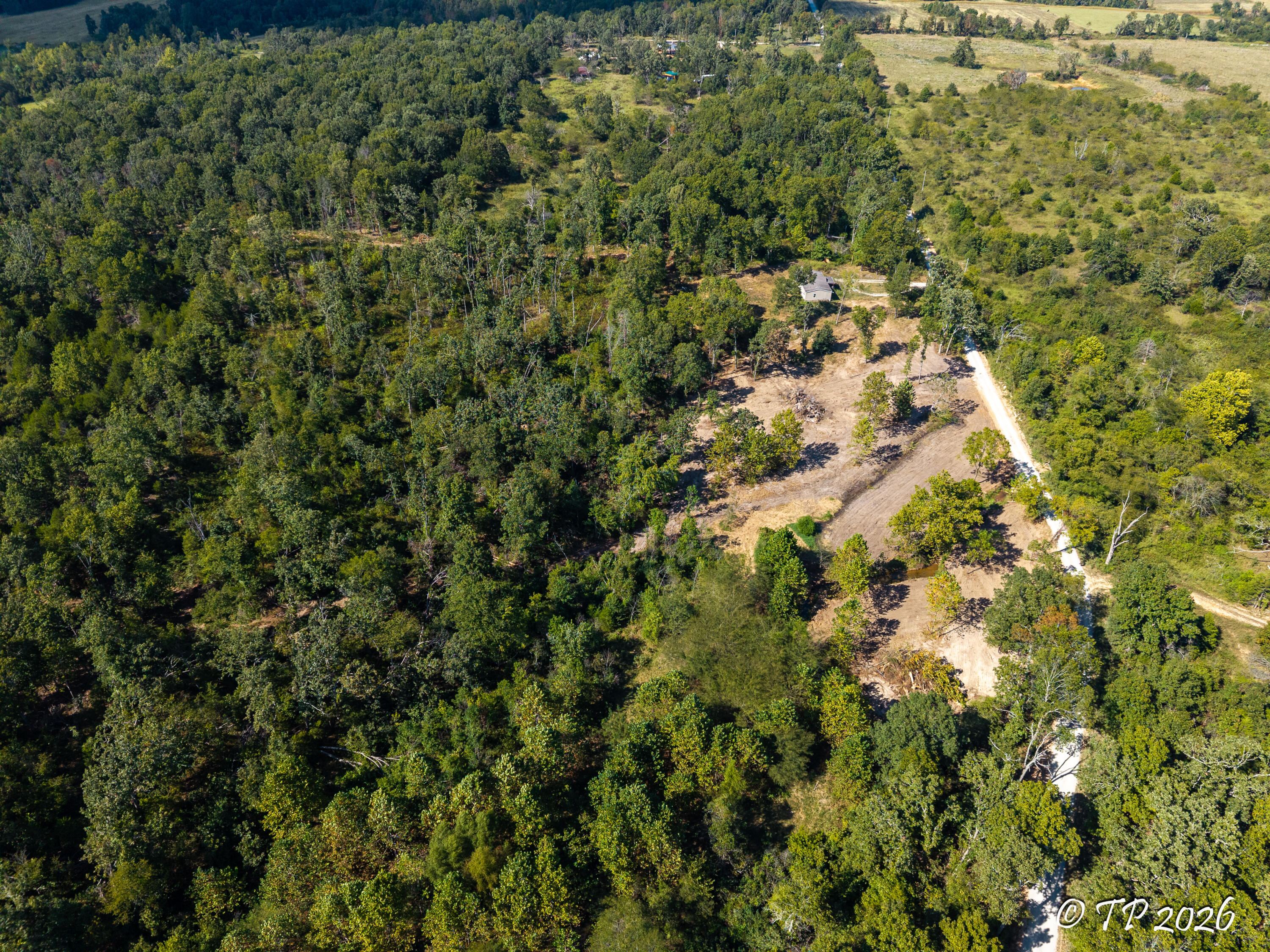 Photo 13 - Land for sale – 000  County Road 6810   West Plains, MO