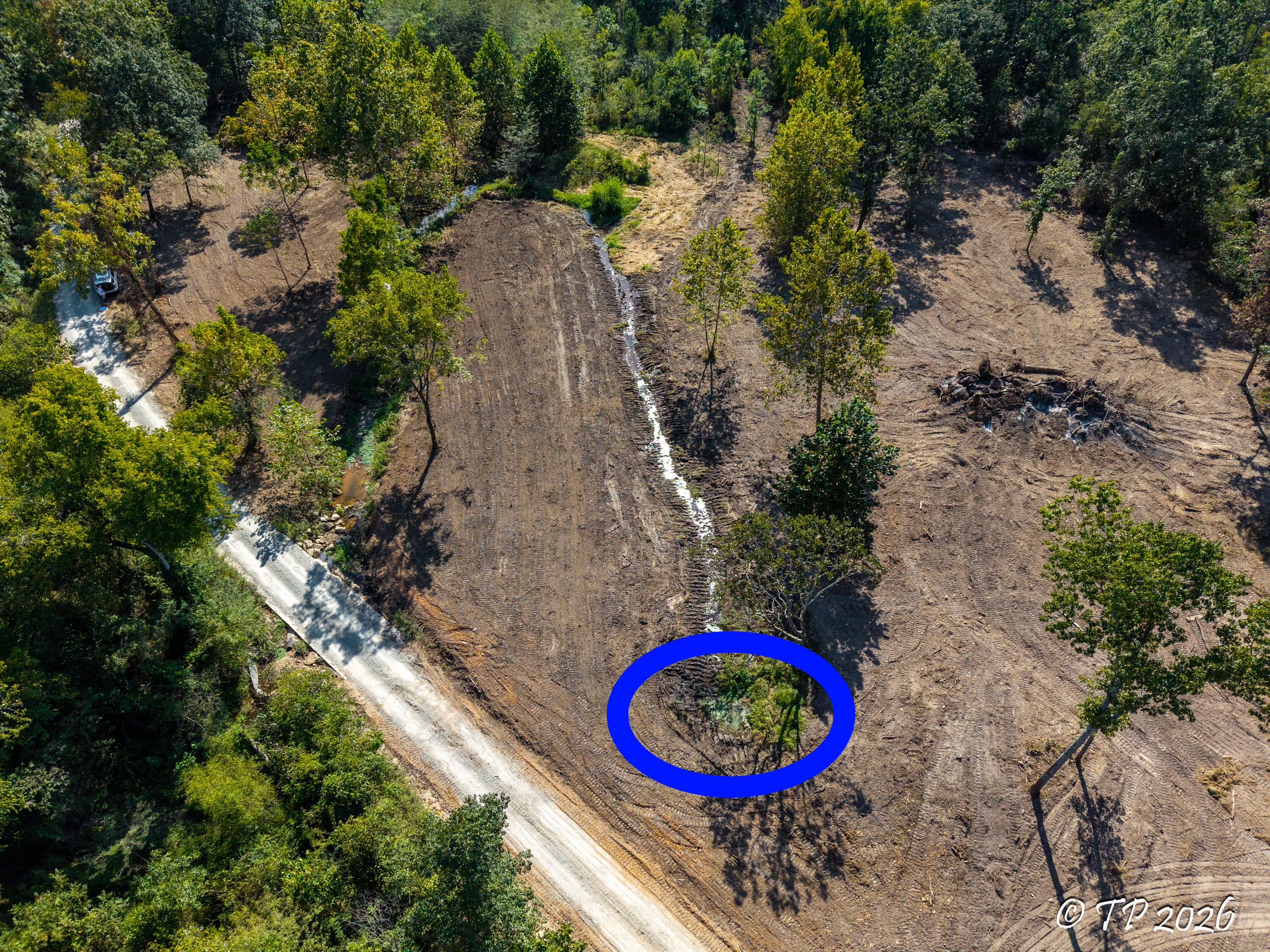 Photo 2 - Land for sale – 000  County Road 6810   West Plains, MO