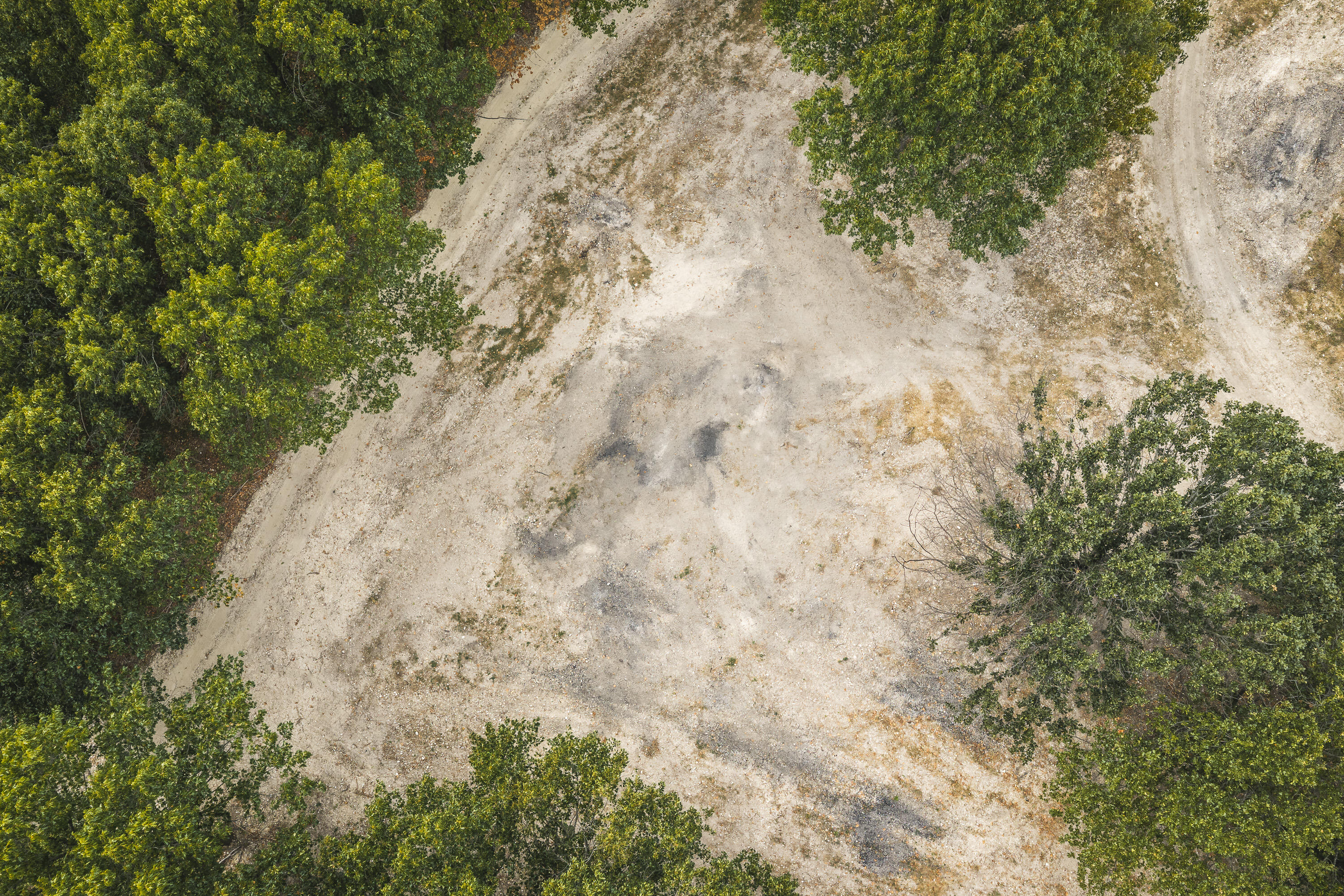 Photo 29 - Land for sale – 1190  Us Highway 160   Reeds Spring, MO