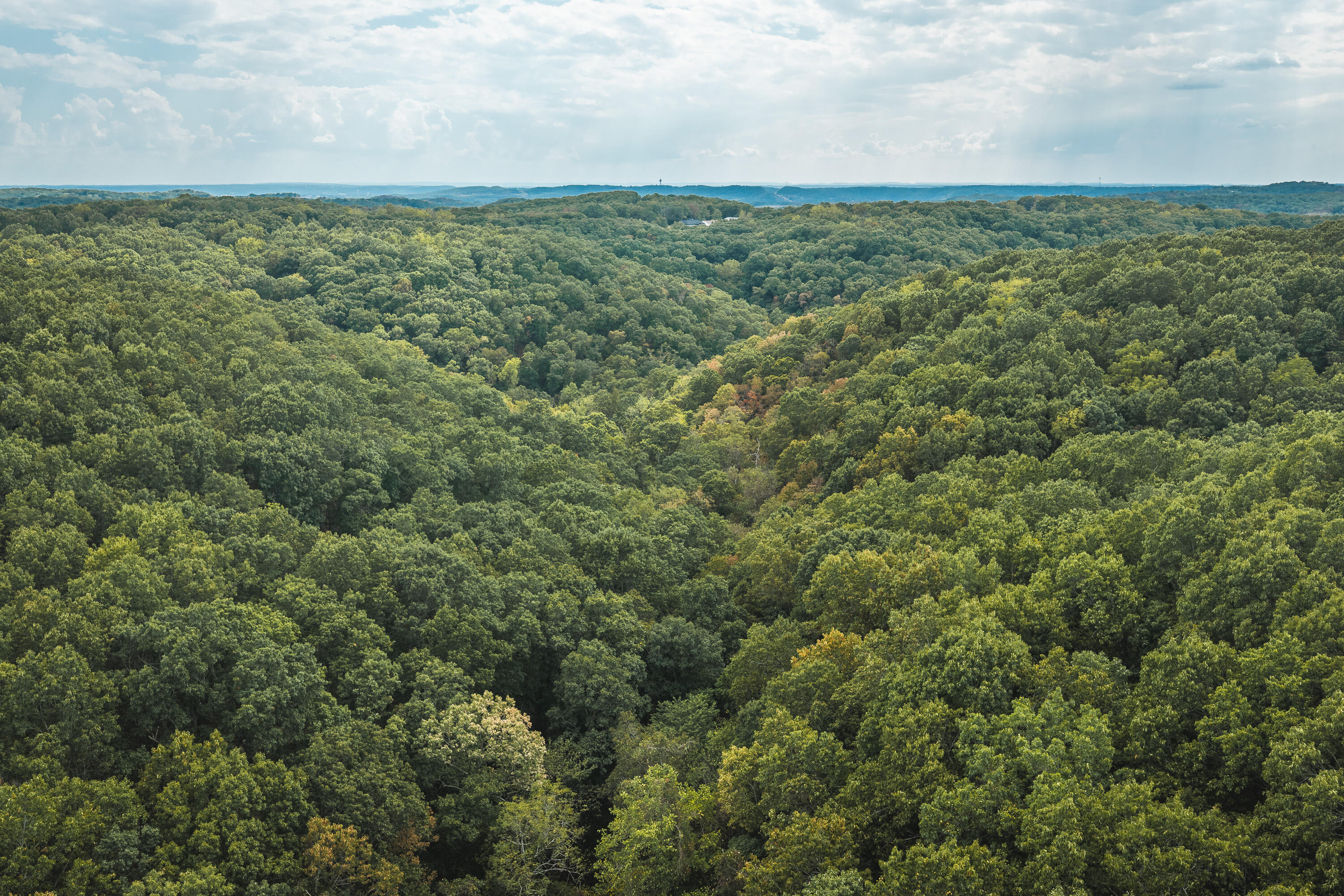 Photo 48 - Land for sale – 1190  Us Highway 160   Reeds Spring, MO