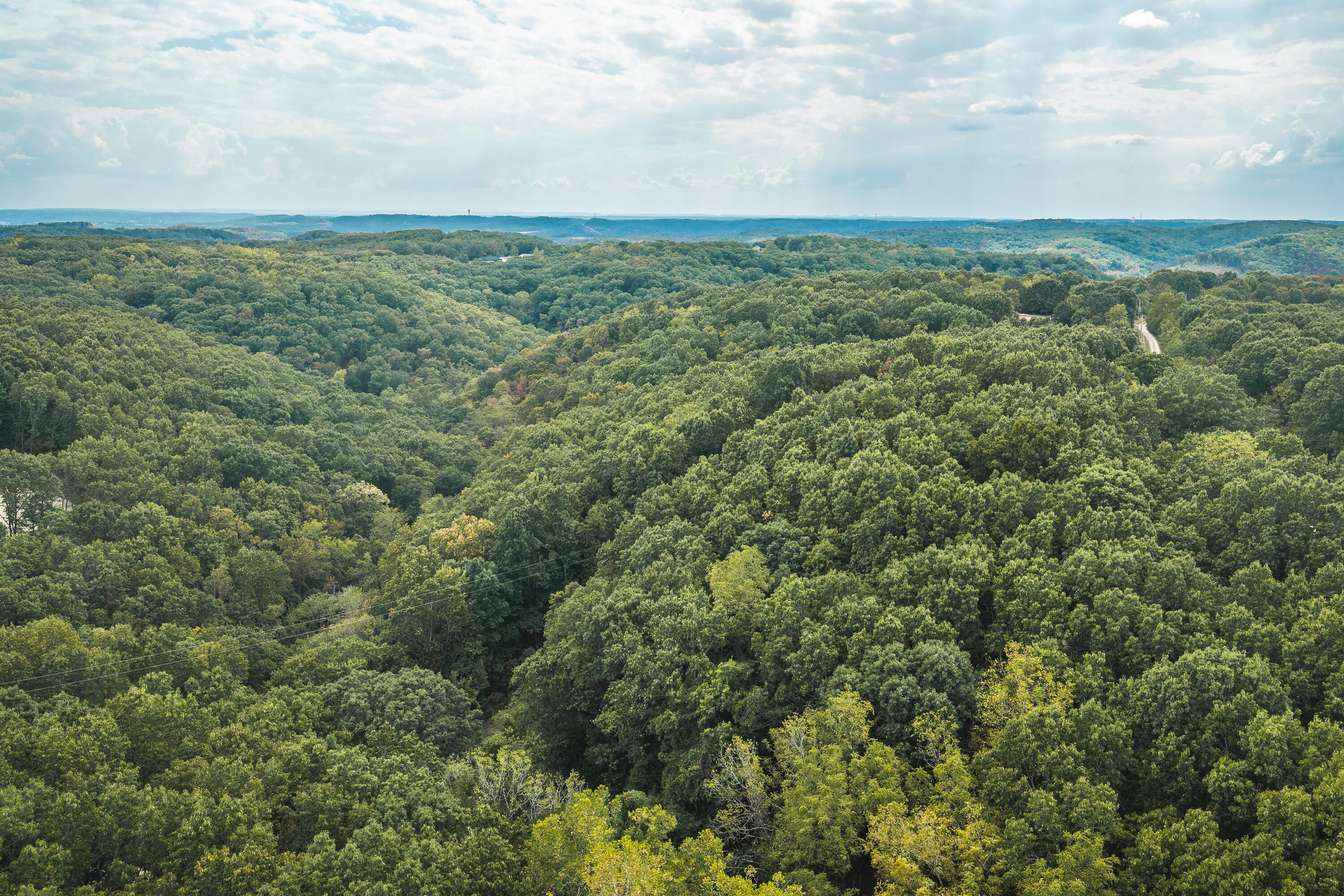 Photo 41 - Land for sale – 1190  Us Highway 160   Reeds Spring, MO
