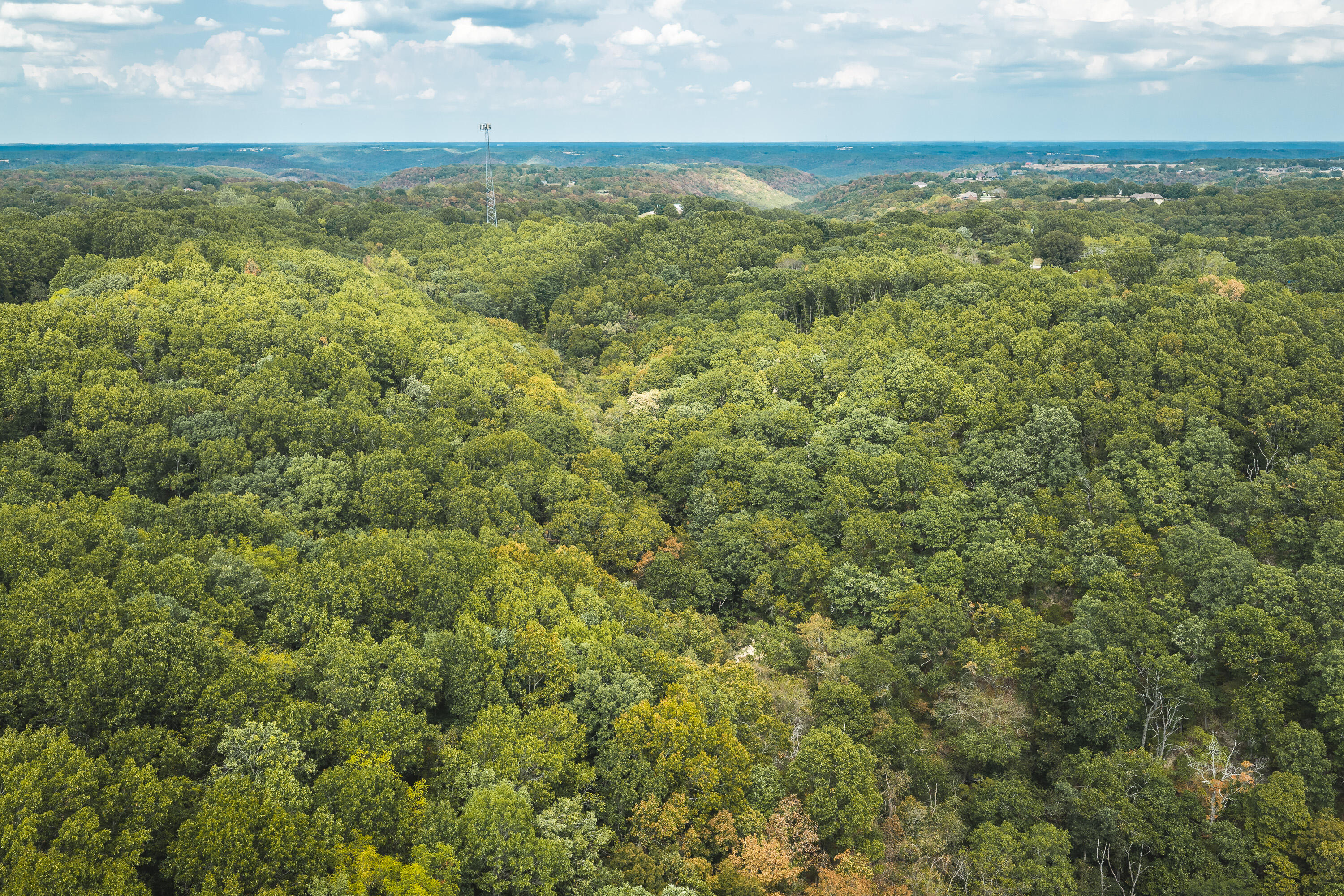 Photo 44 - Land for sale – 1190  Us Highway 160   Reeds Spring, MO