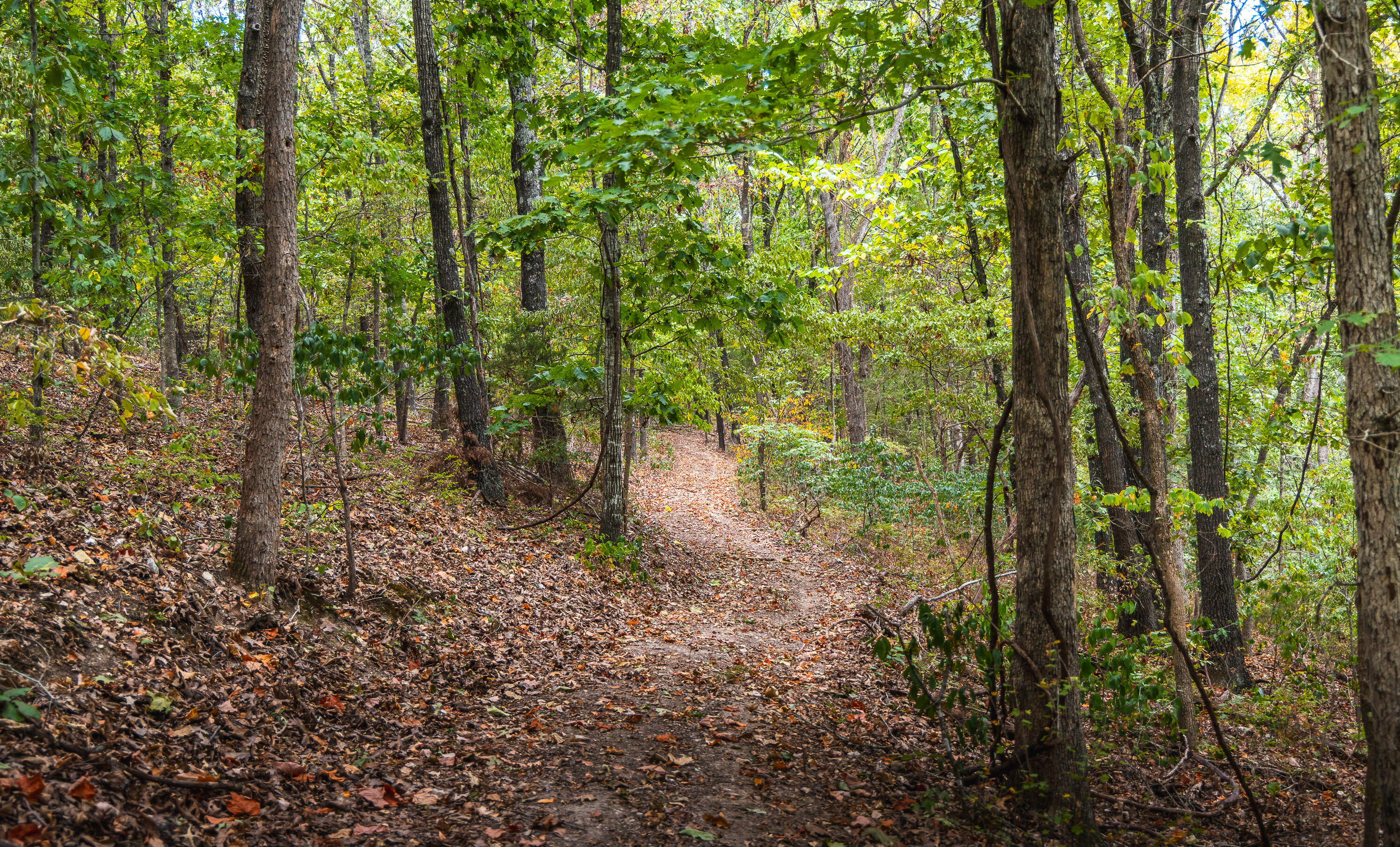 Photo 36 - Land for sale – 1190  Us Highway 160   Reeds Spring, MO