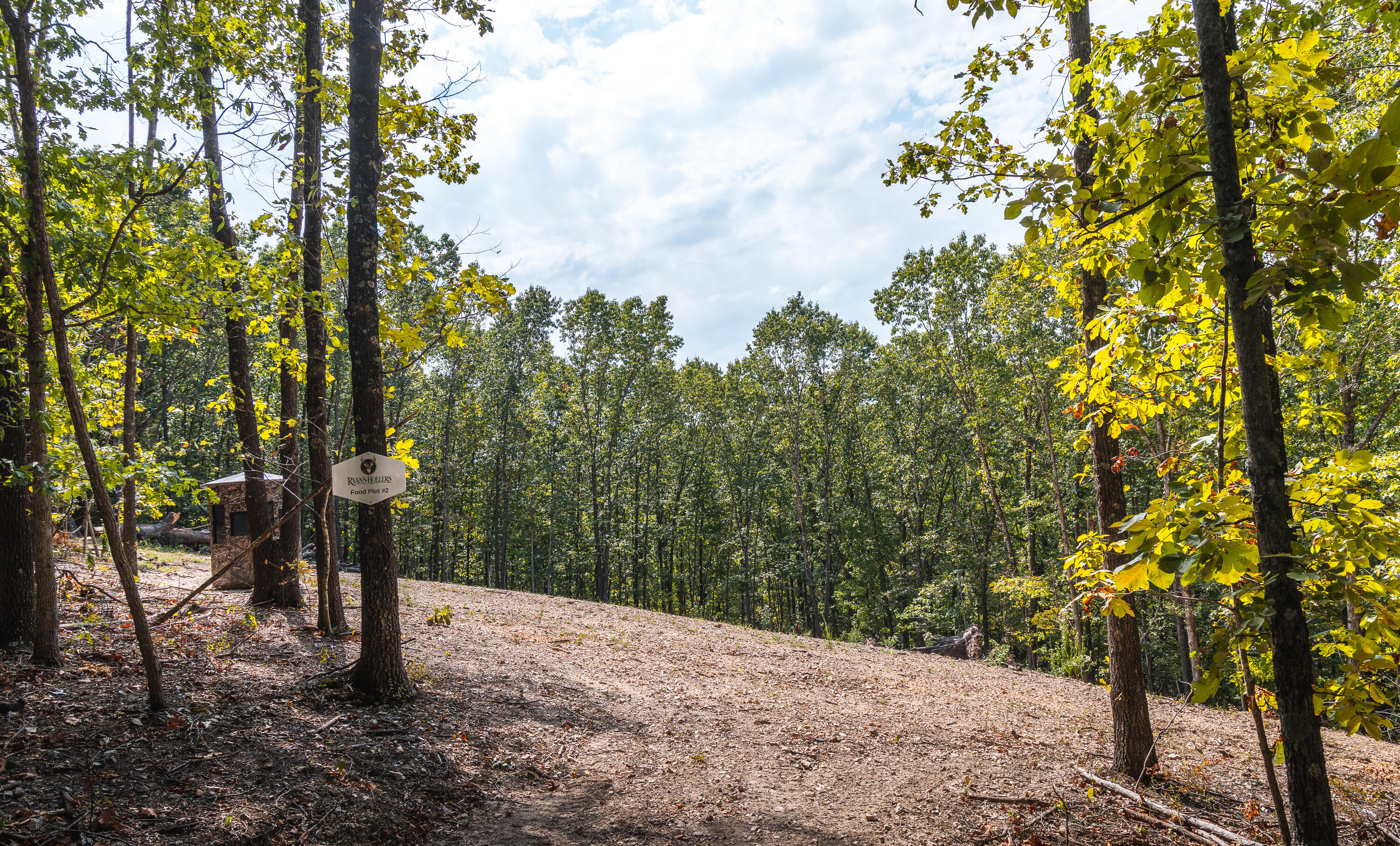 Photo 19 - Land for sale – 1190  Us Highway 160   Reeds Spring, MO