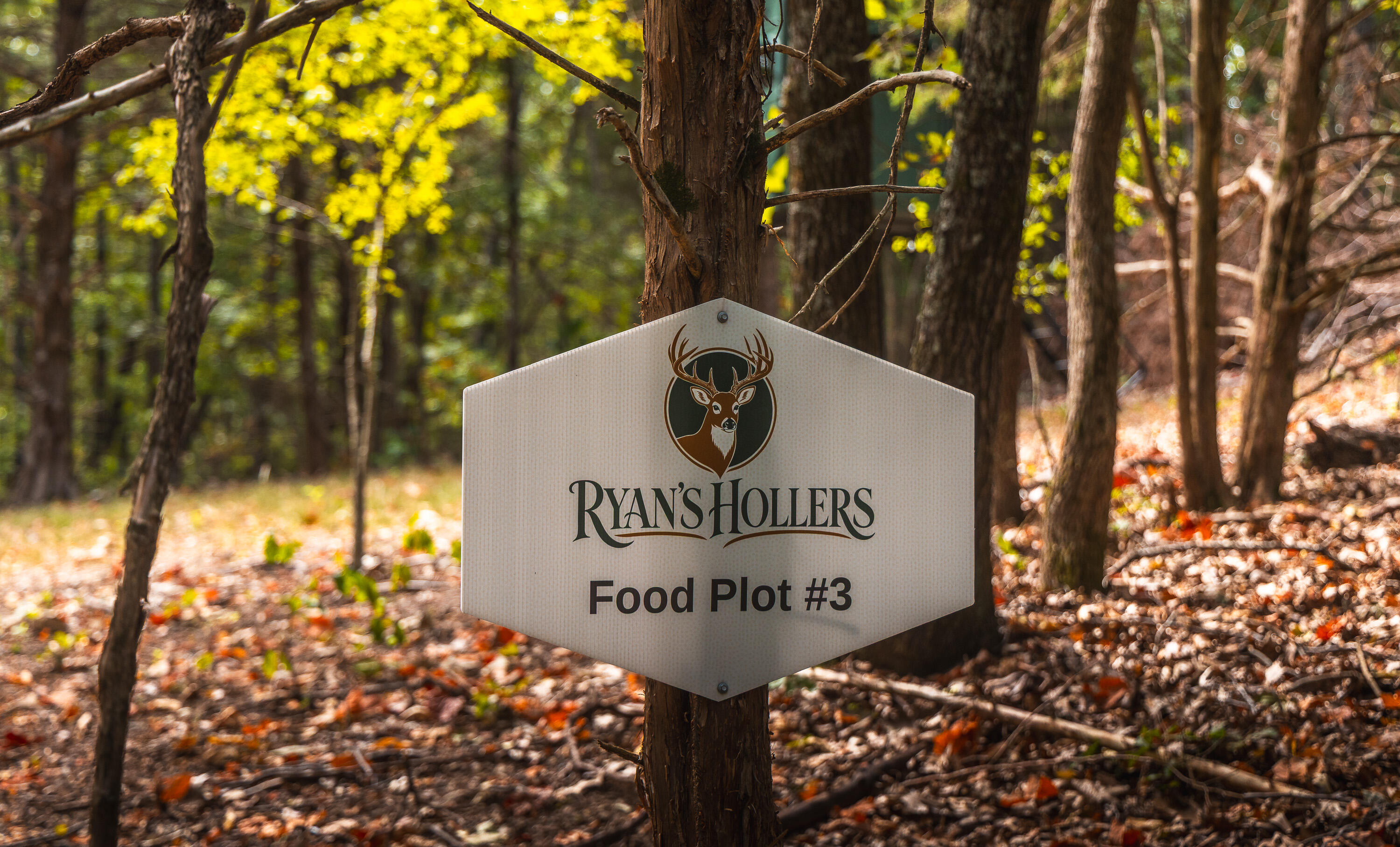 Photo 13 - Land for sale – 1190  Us Highway 160   Reeds Spring, MO